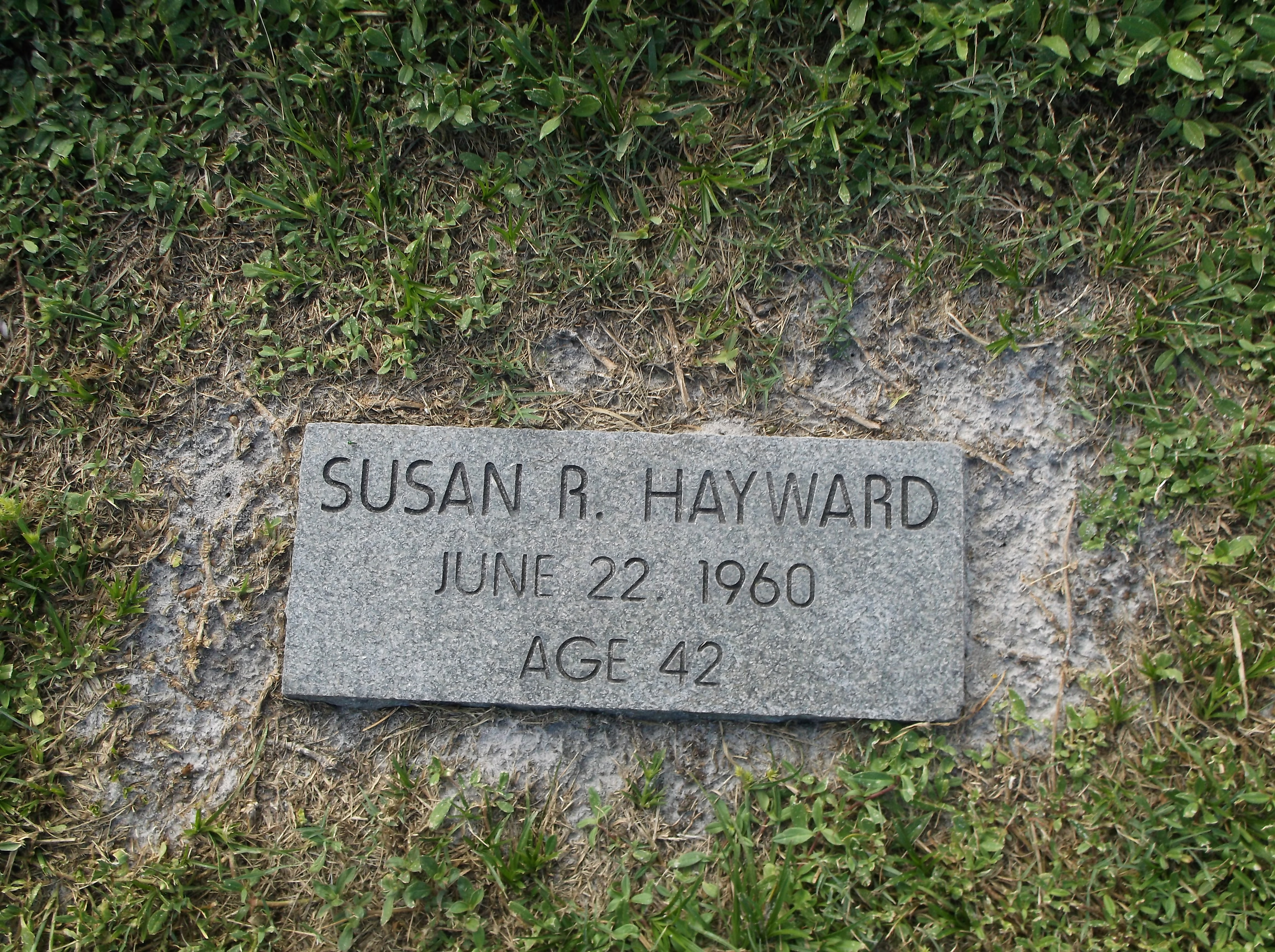 Susan R Hayward