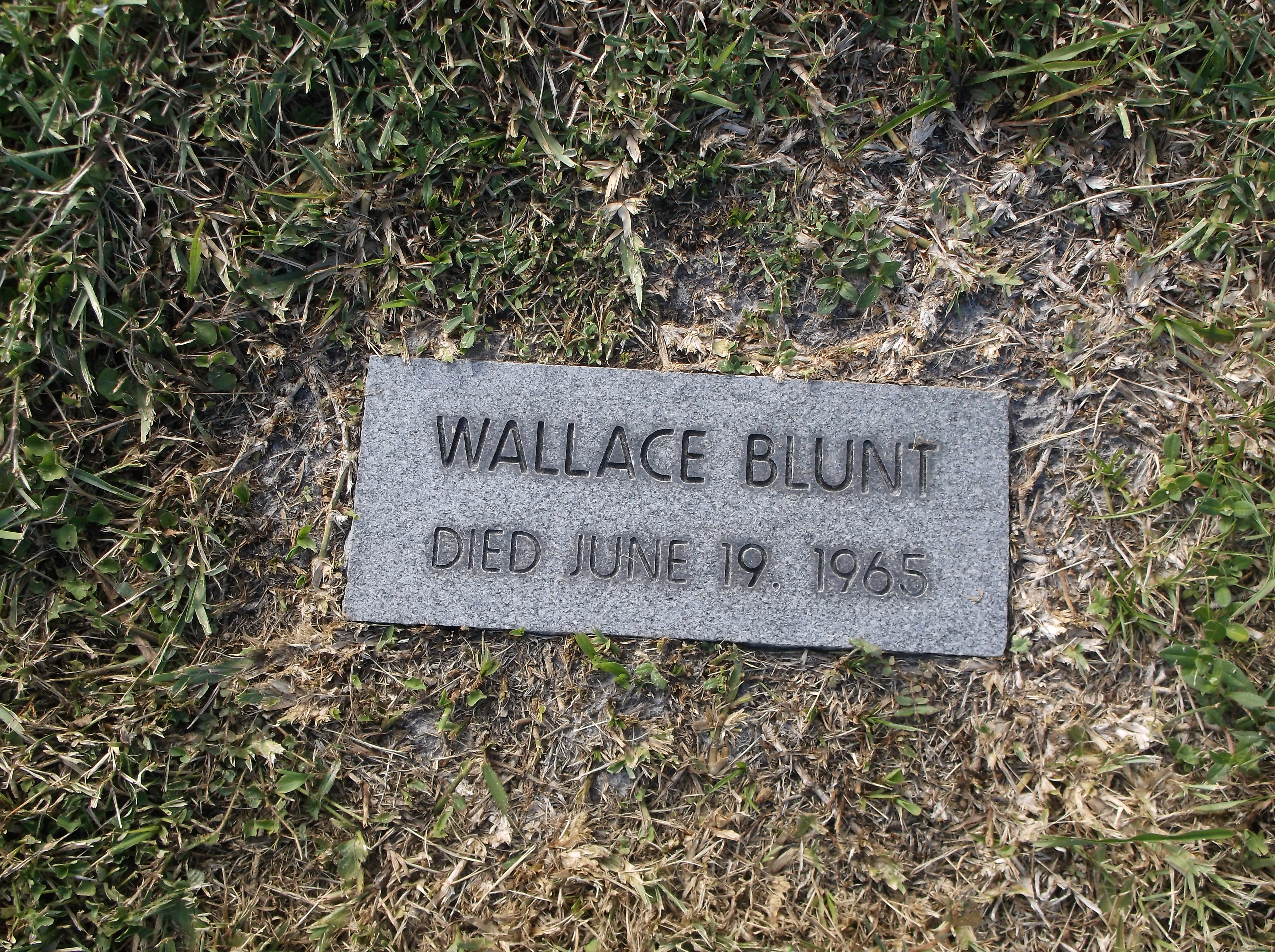 Wallace Blunt