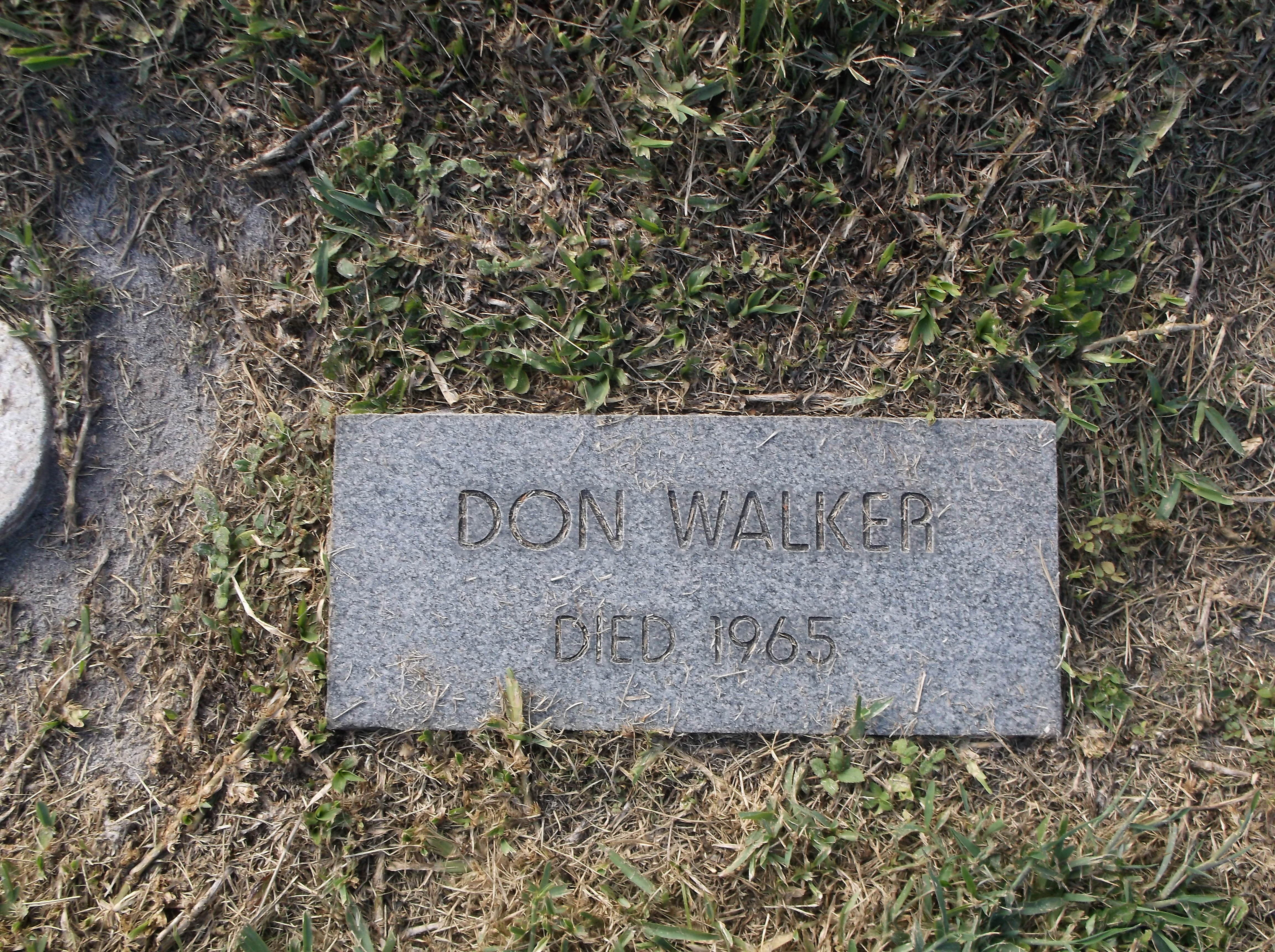 Don Walker