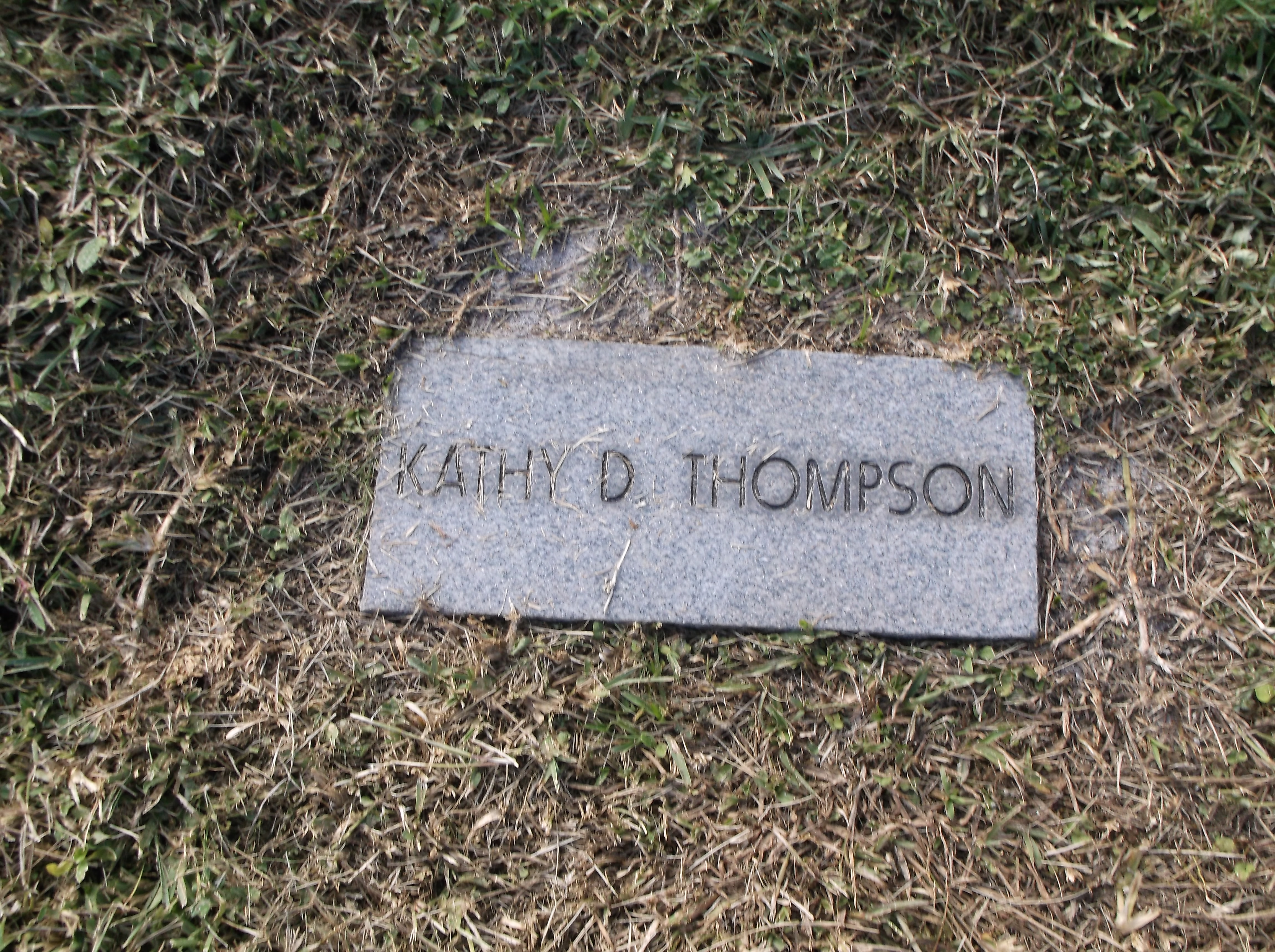 Kathy D Thompson