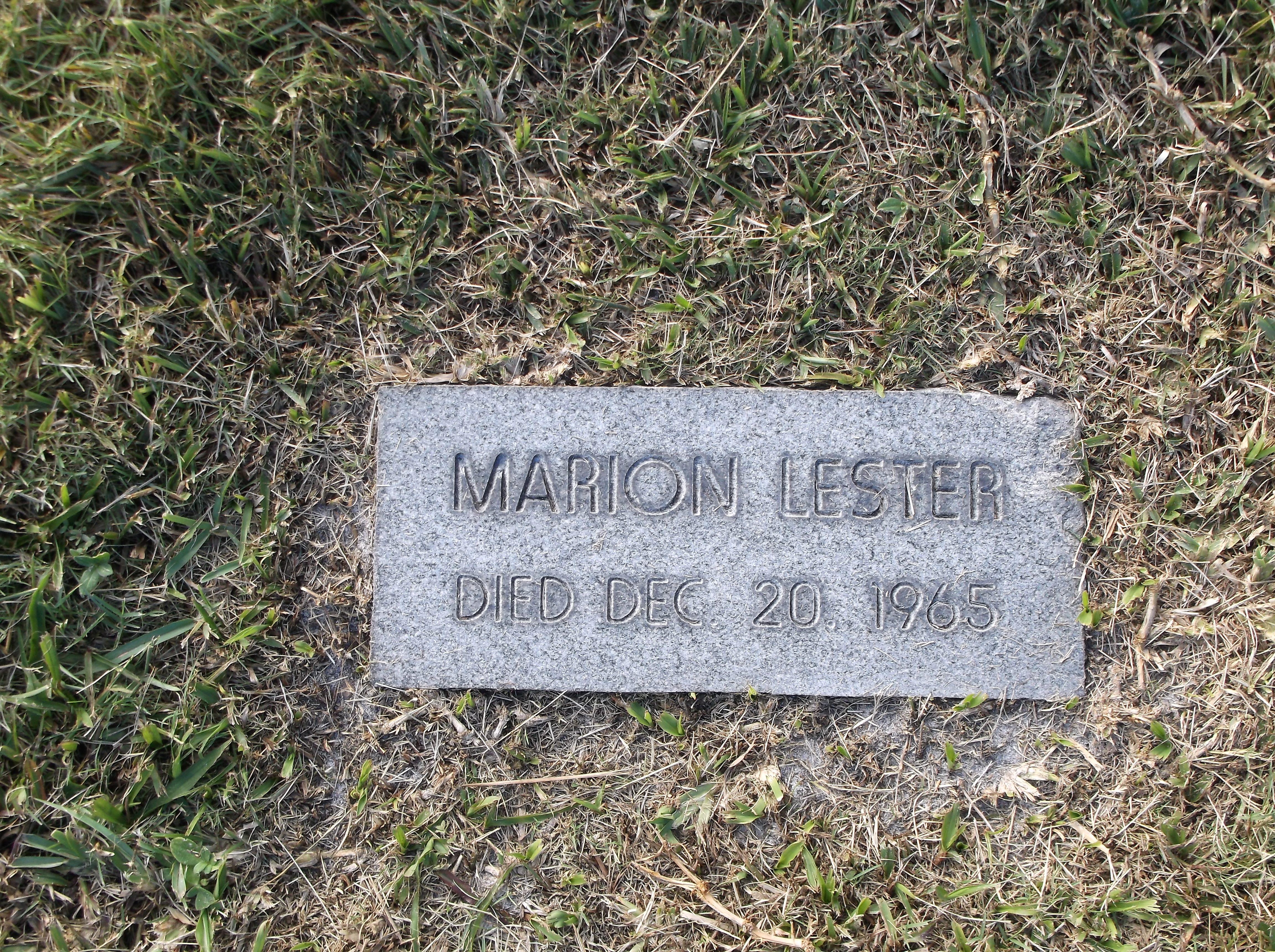 Marion Lester