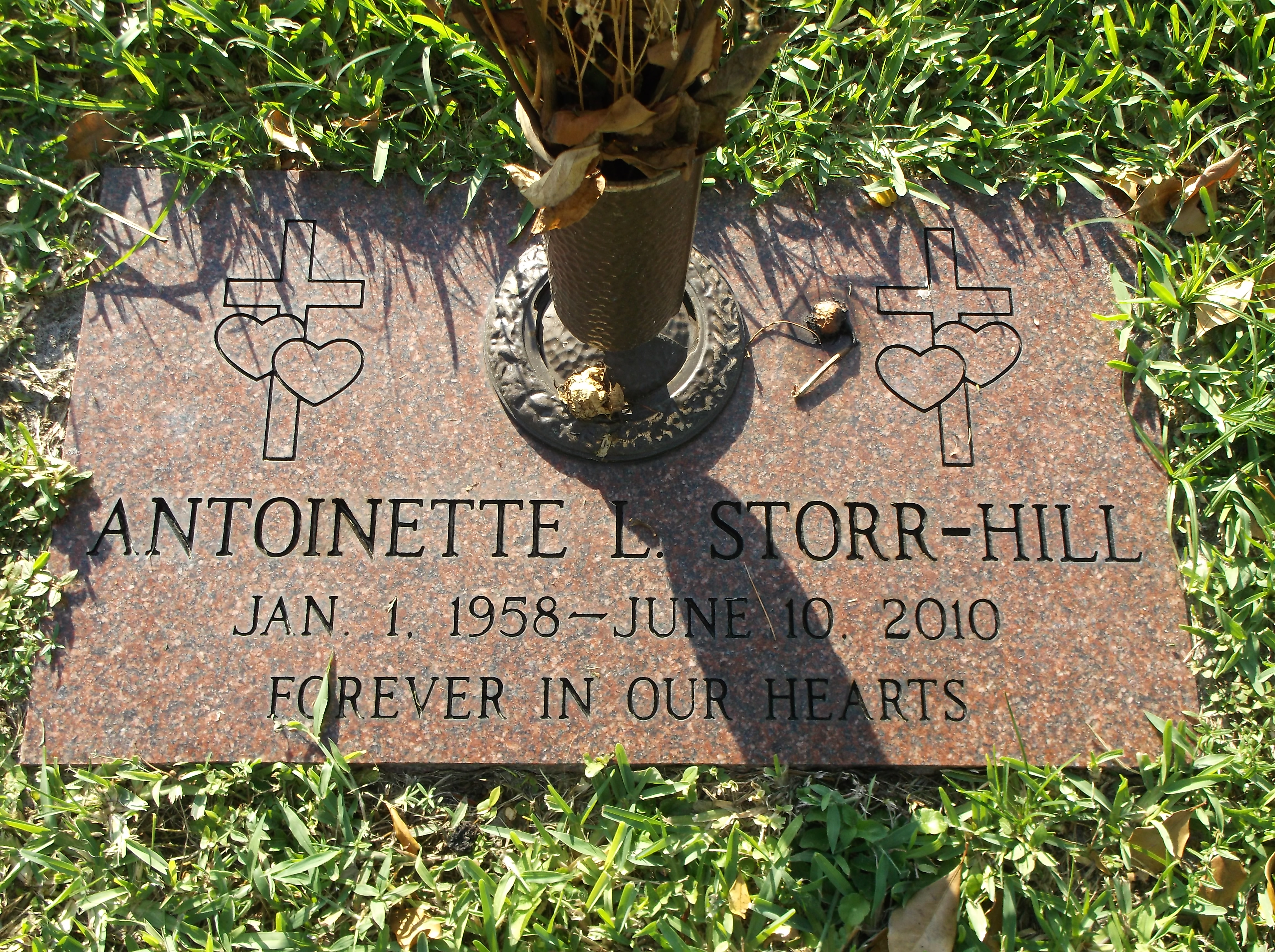 Antoinette L Storr Hill