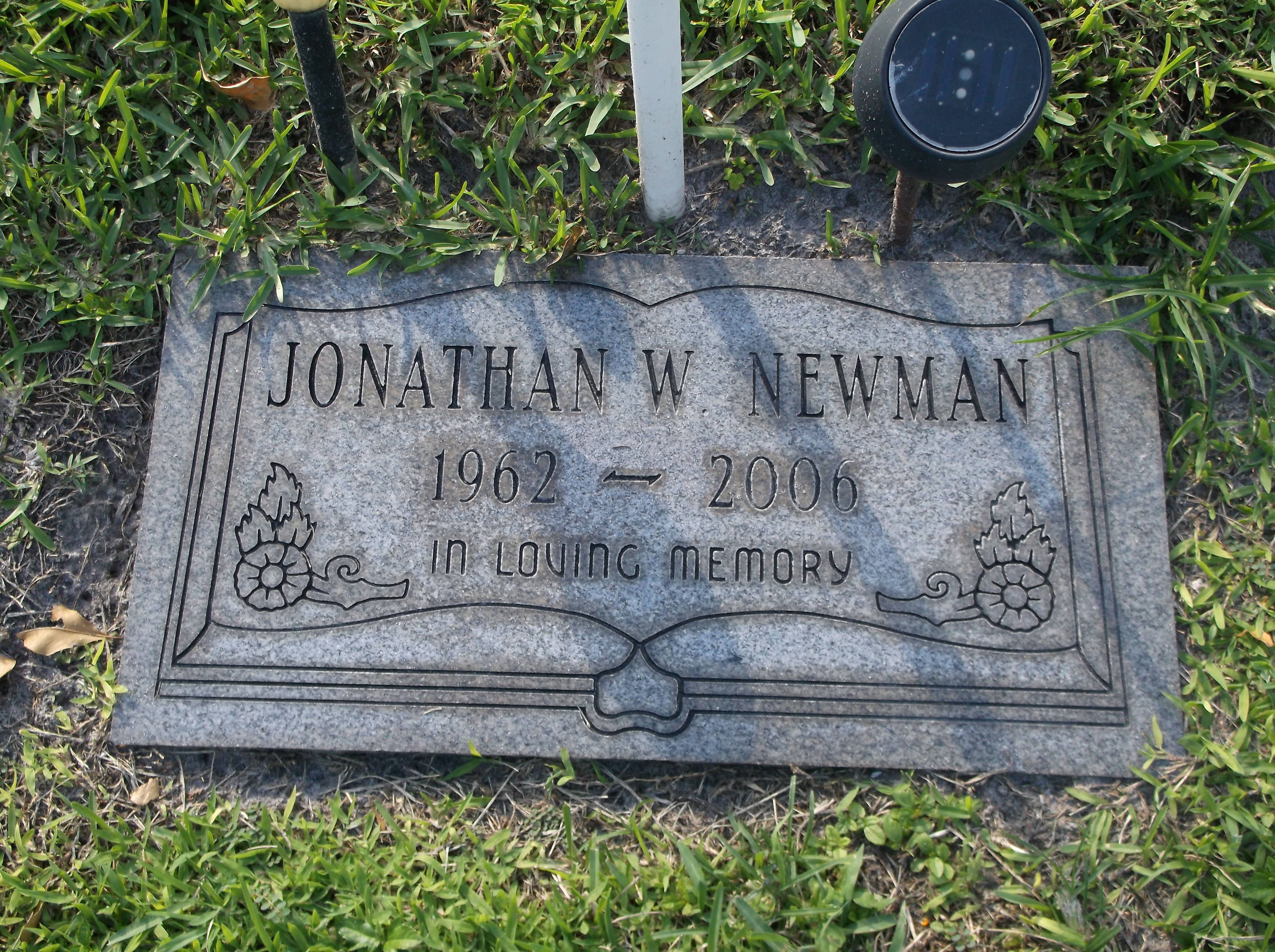 Jonathan W Newman