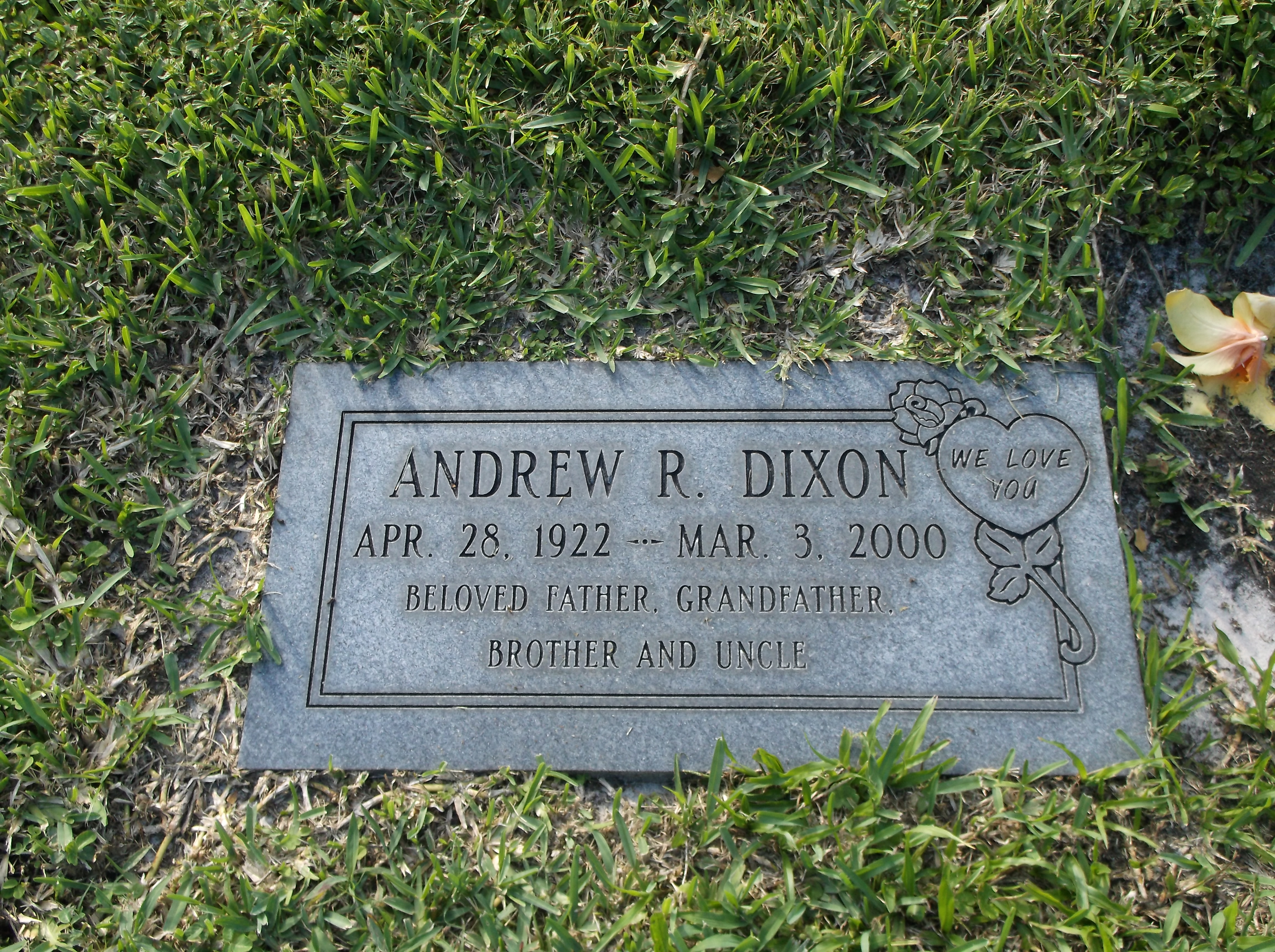 Andrew R Dixon