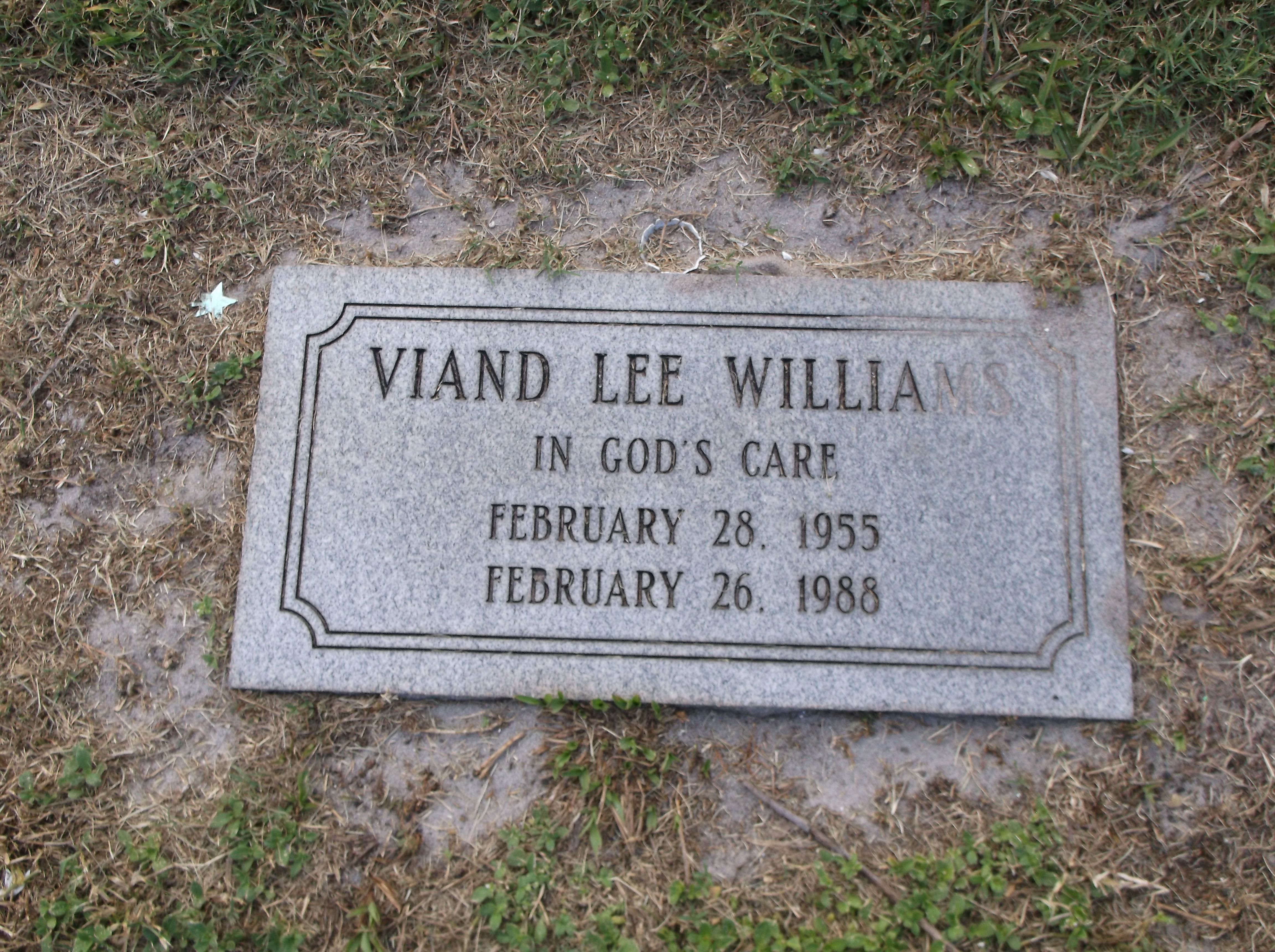 Viand Lee Williams