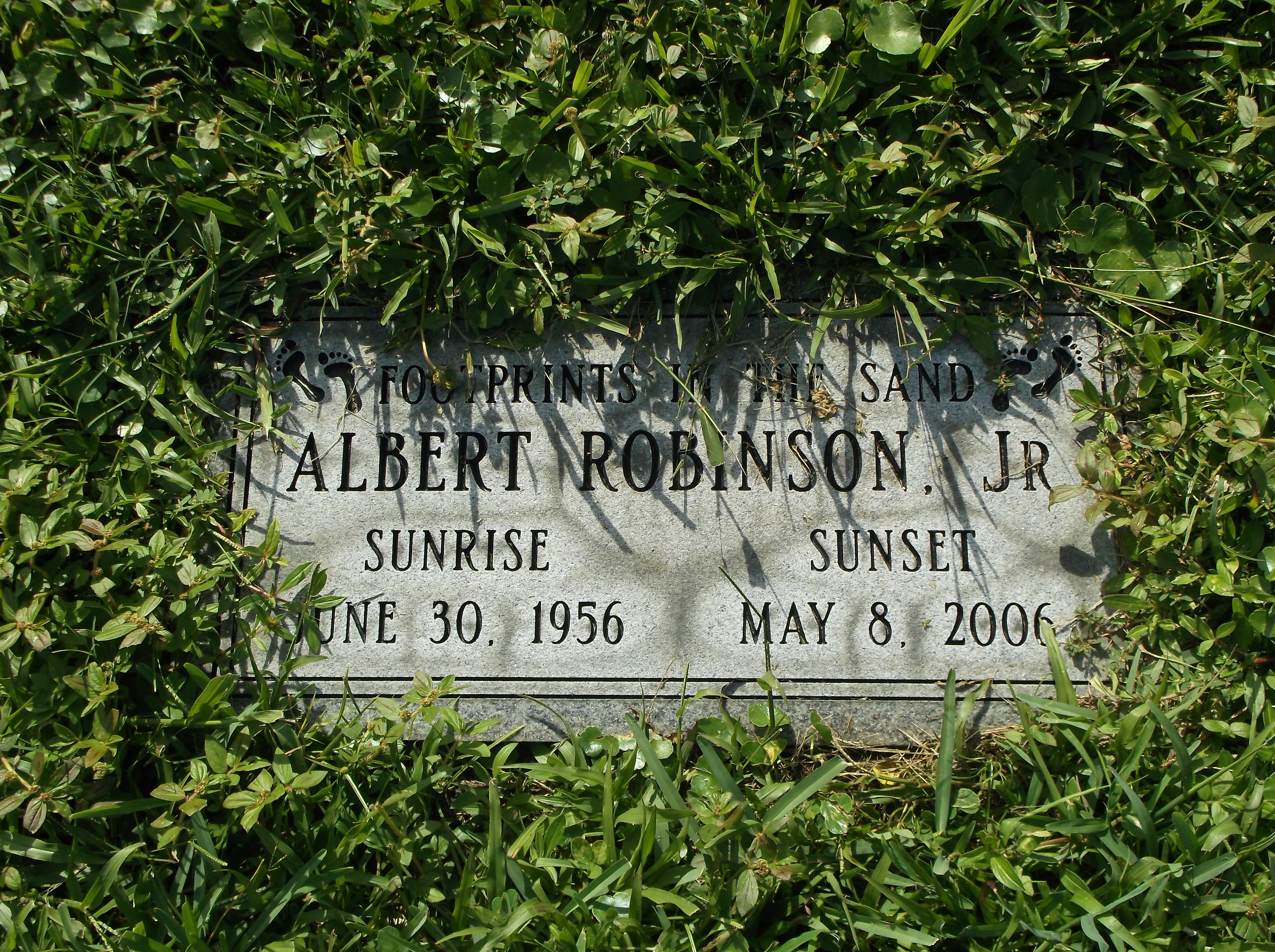 Albert Robinson, Jr