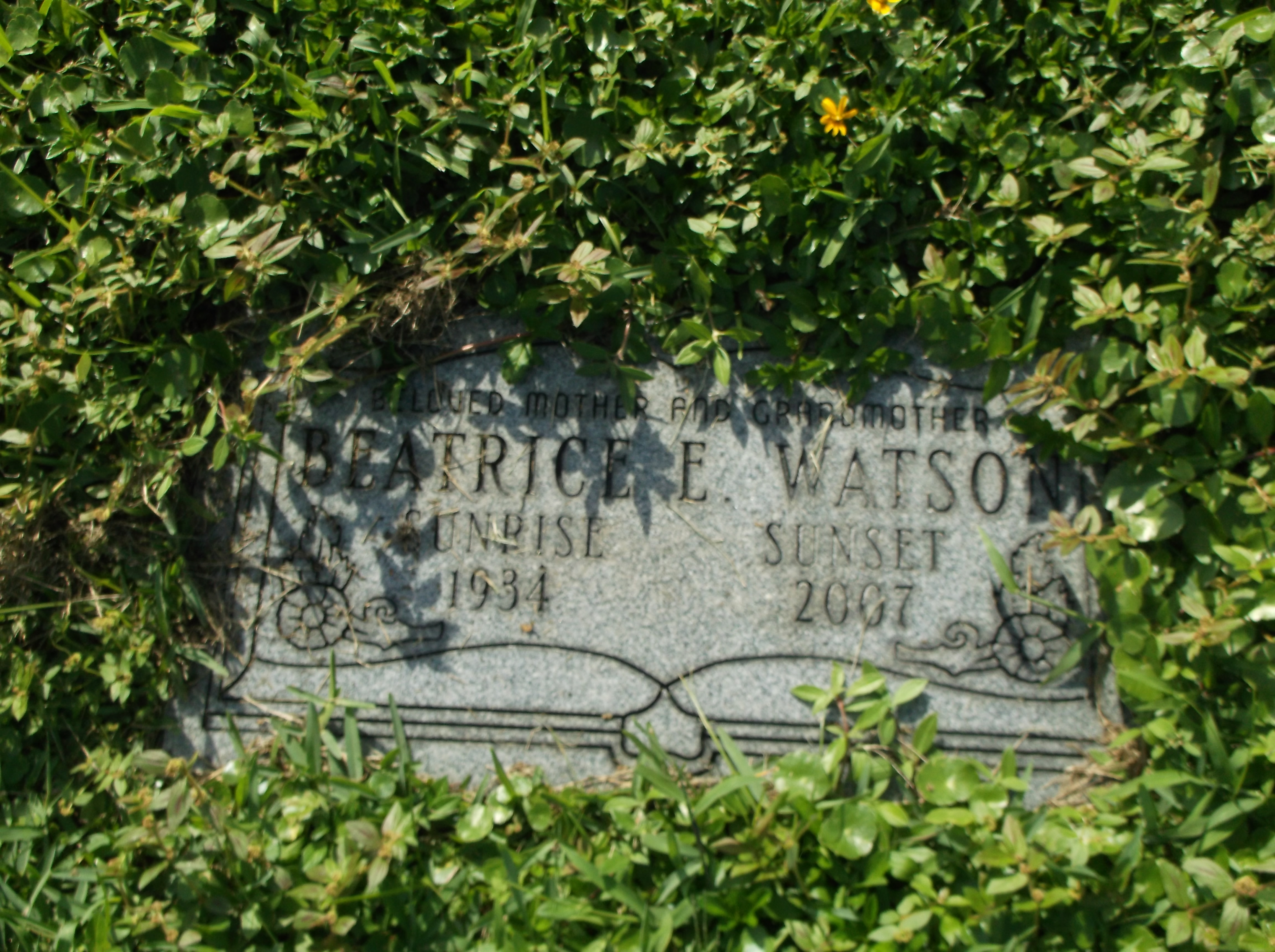 Beatrice E Watson