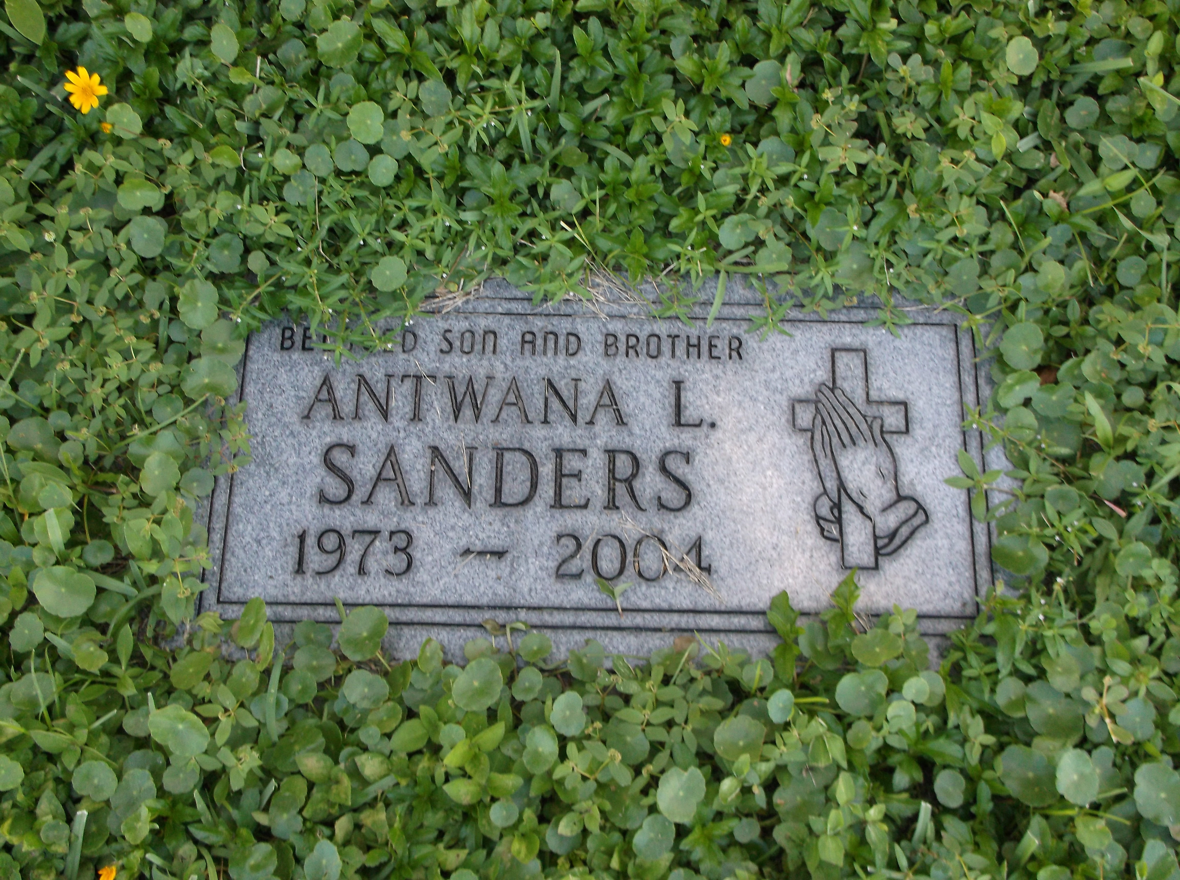 Antwana L Sanders