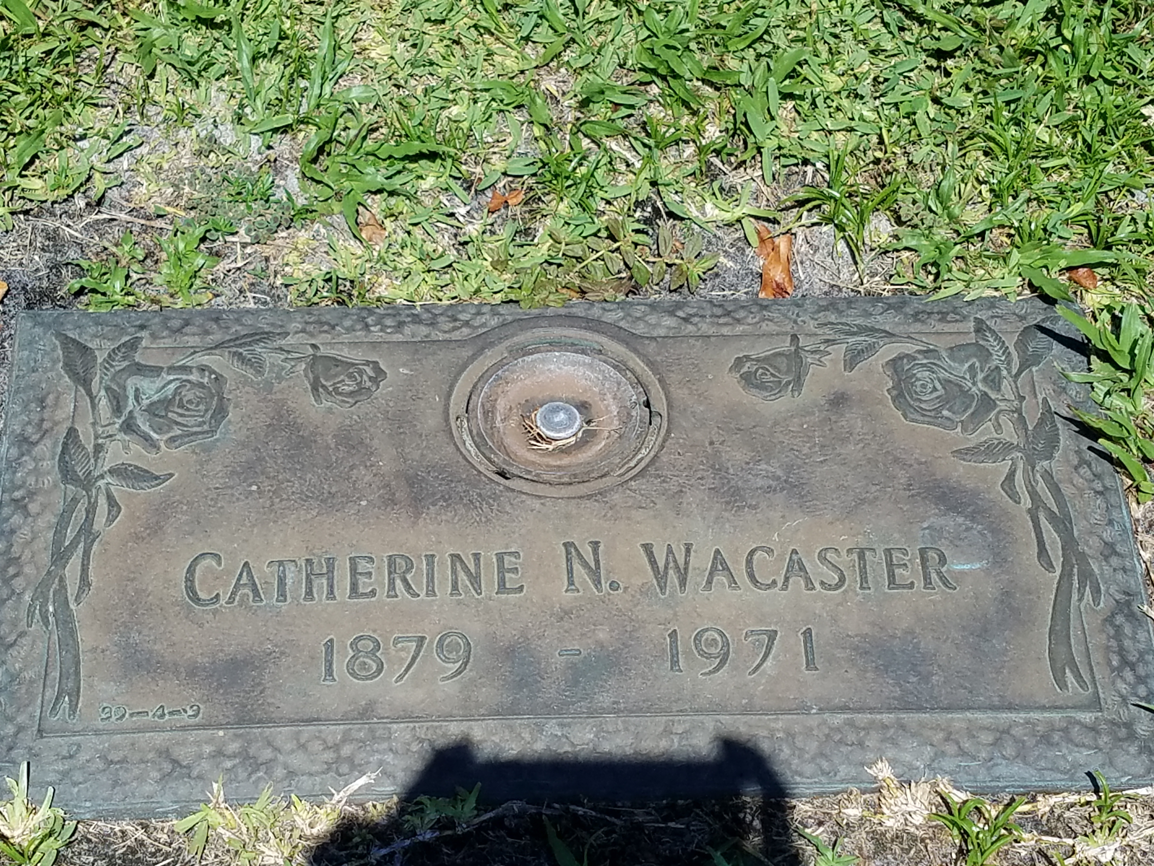 Catherine N Wacaster