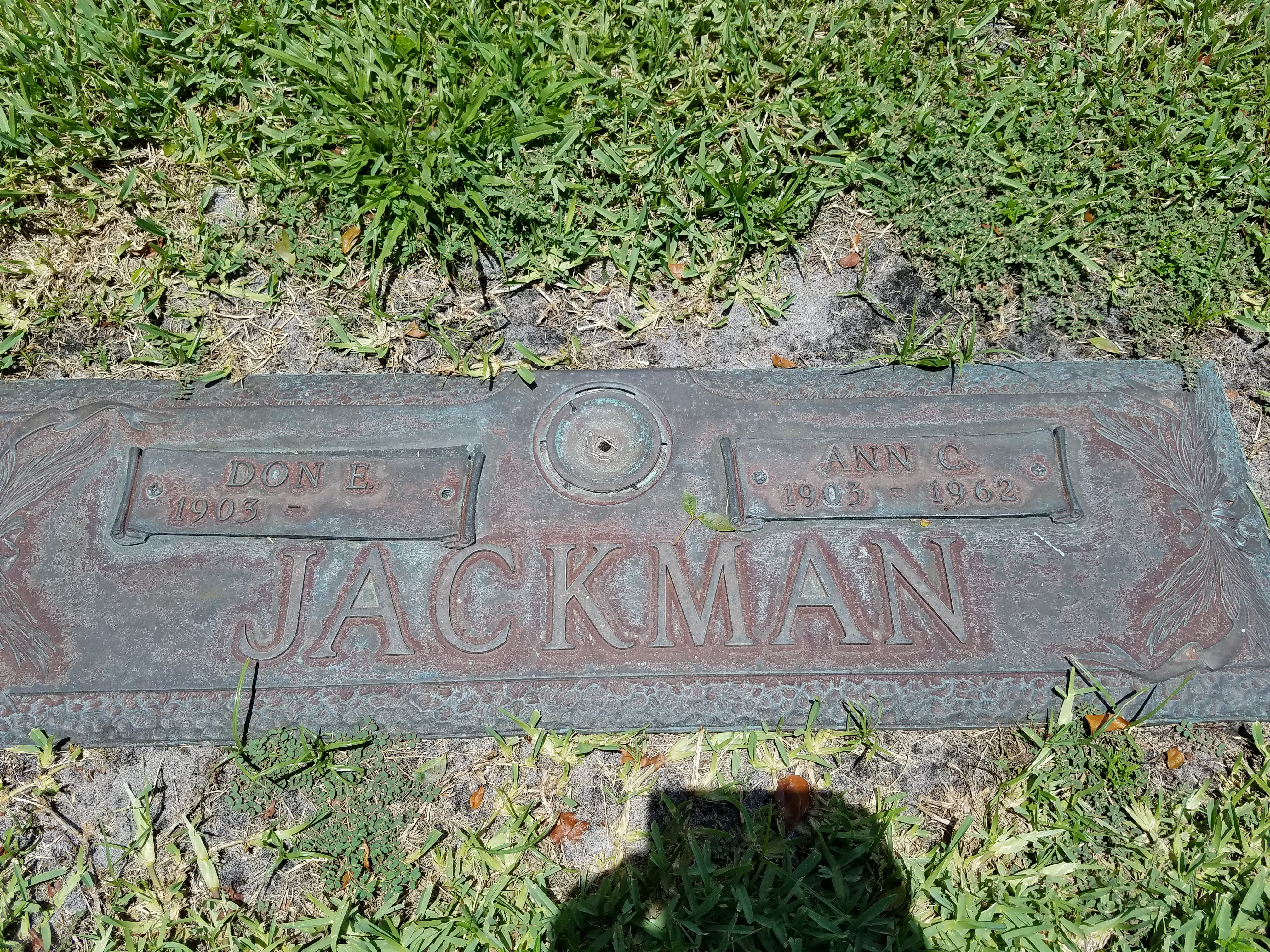 Ann C Jackman