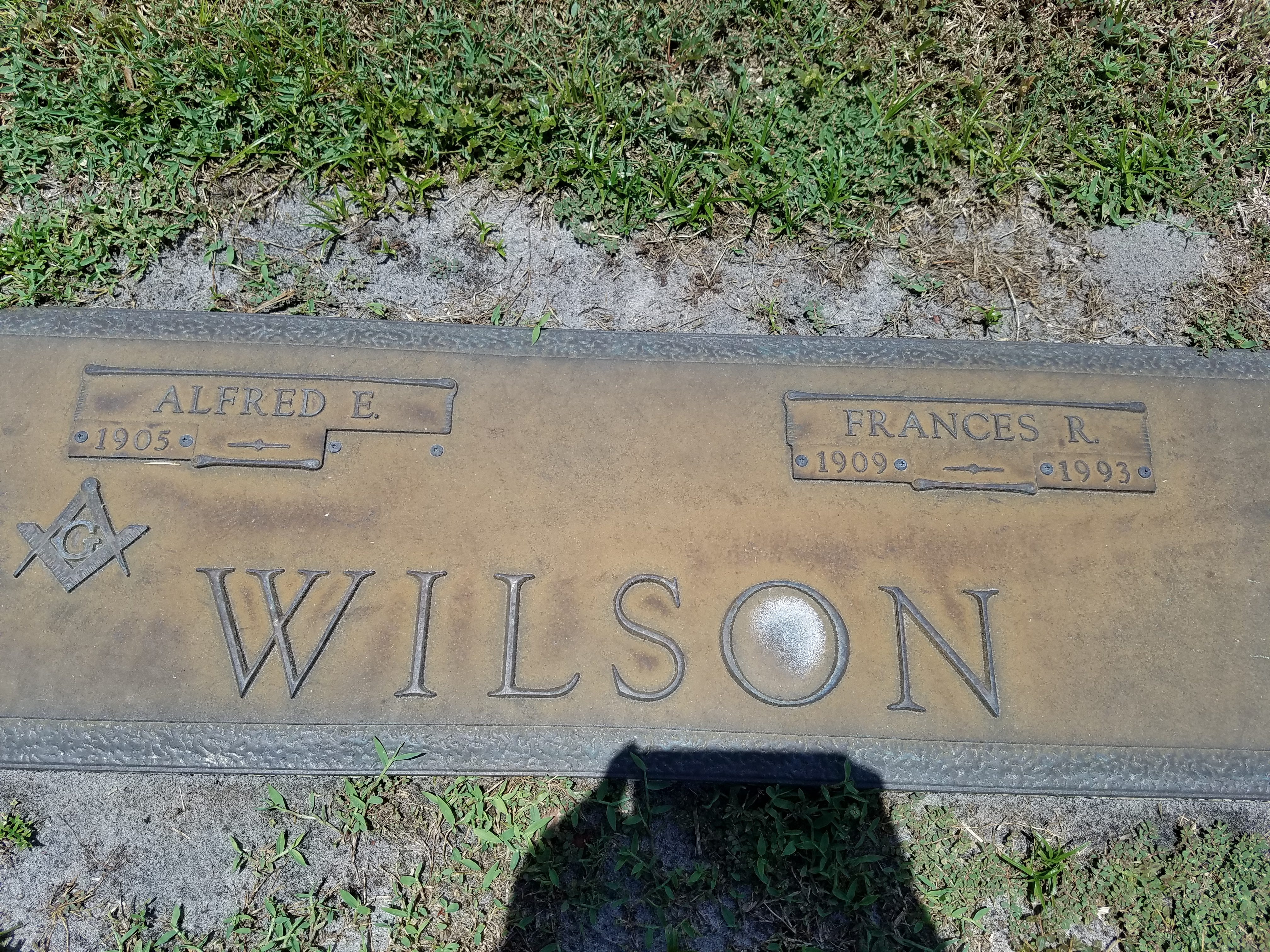 Alfred E Wilson