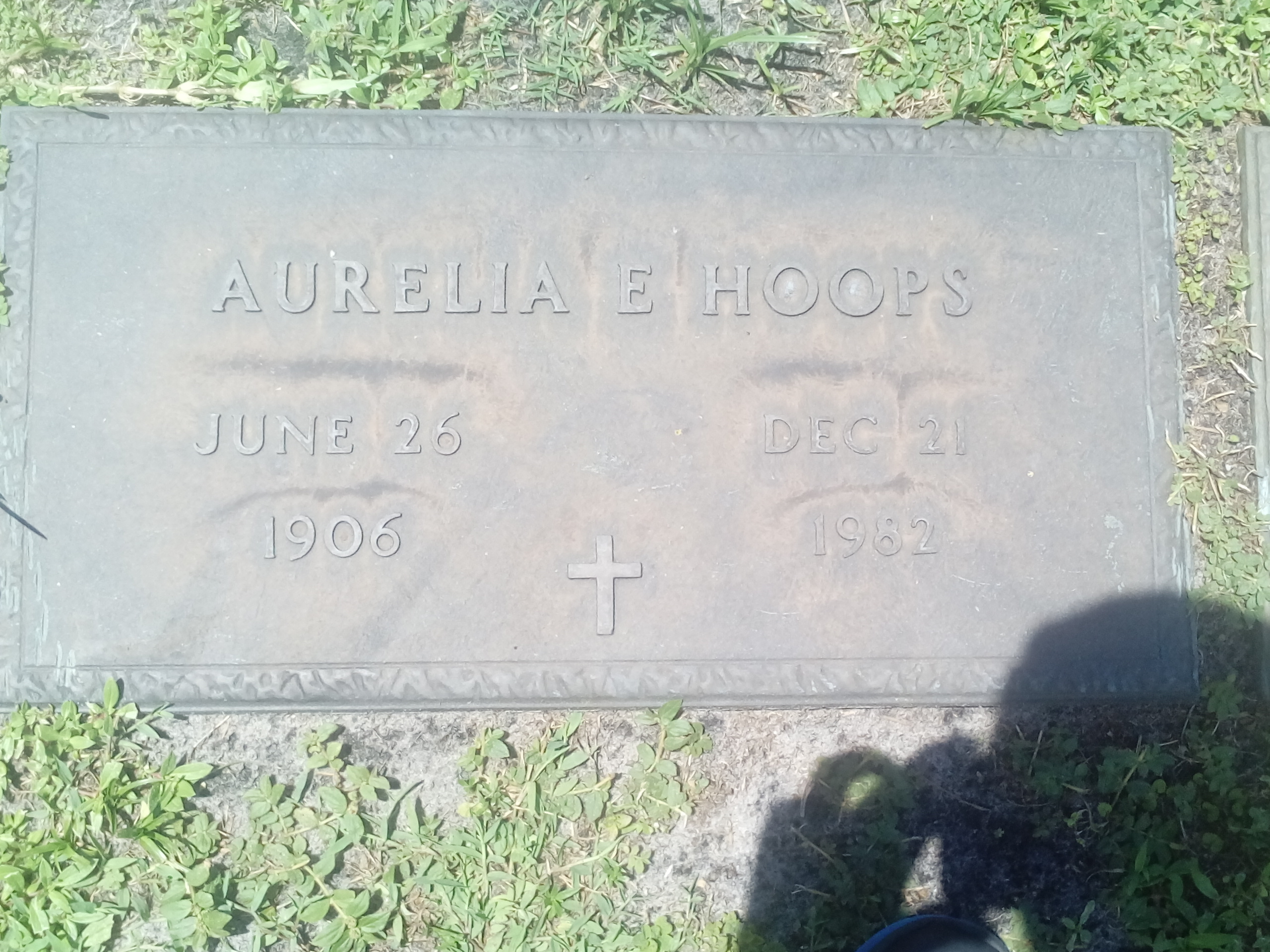 Aurelia E Hoops