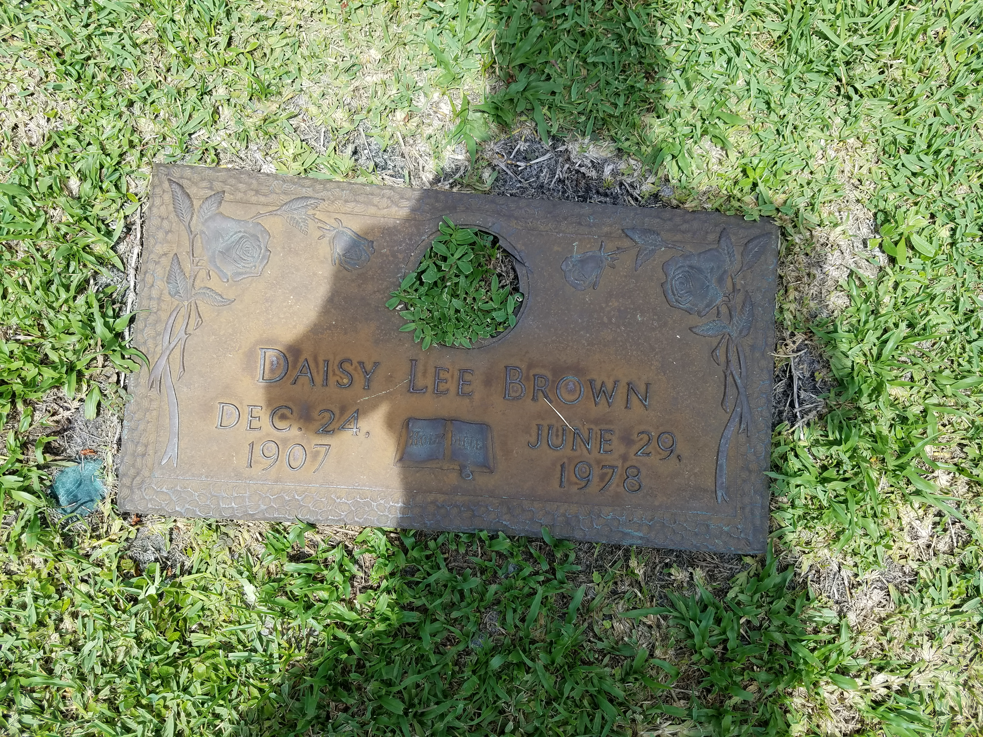 Daisy Lee Brown