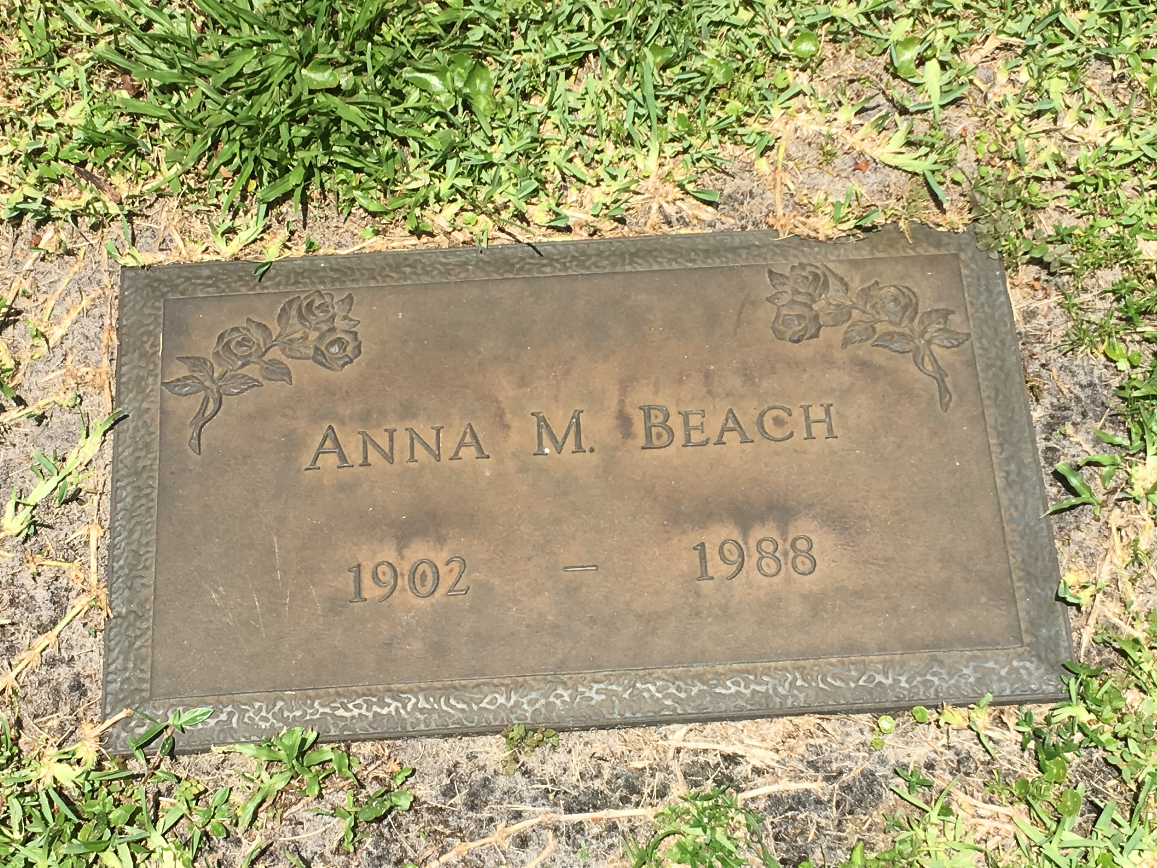Anna M Beach