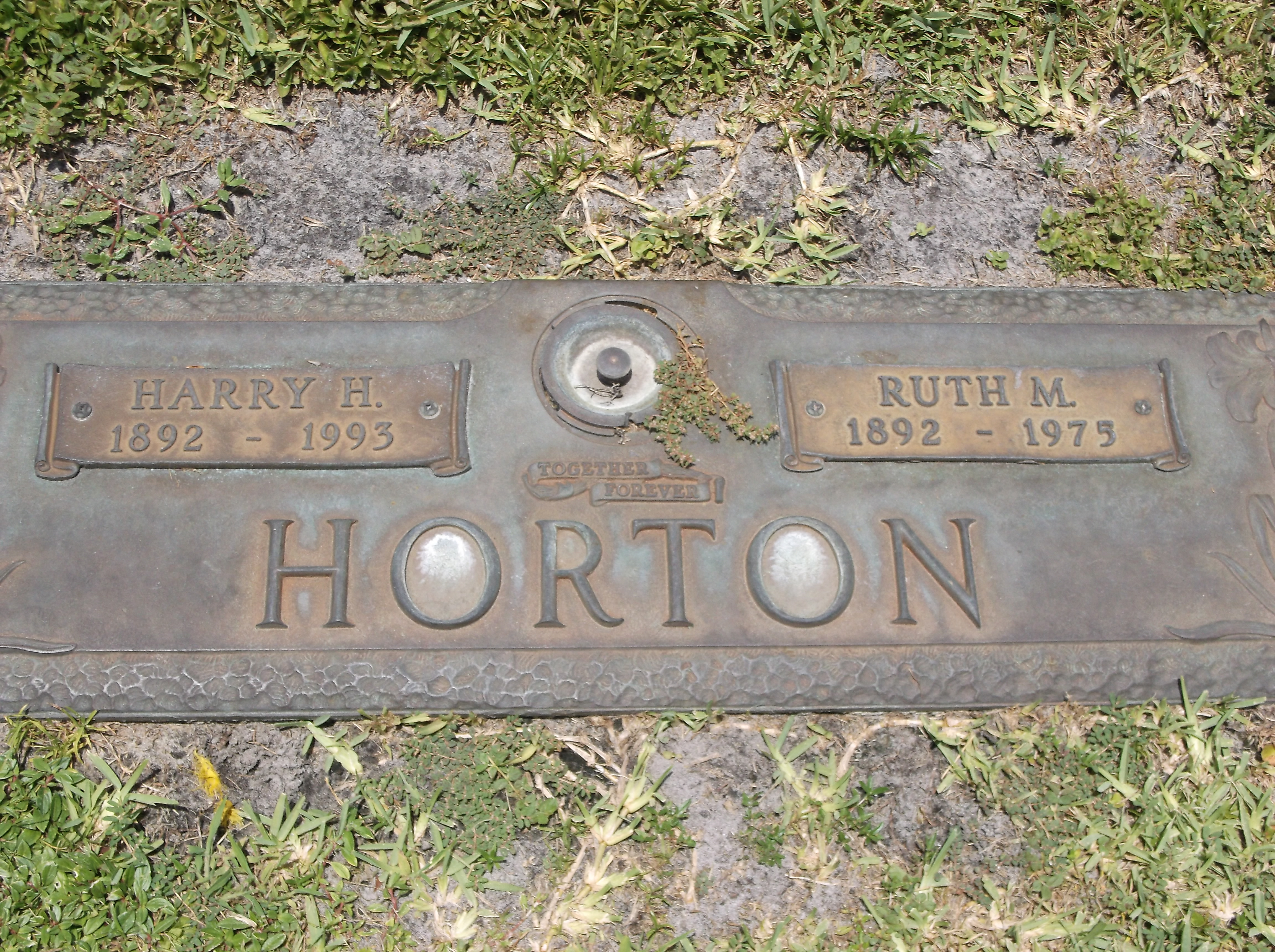 Harry H Horton