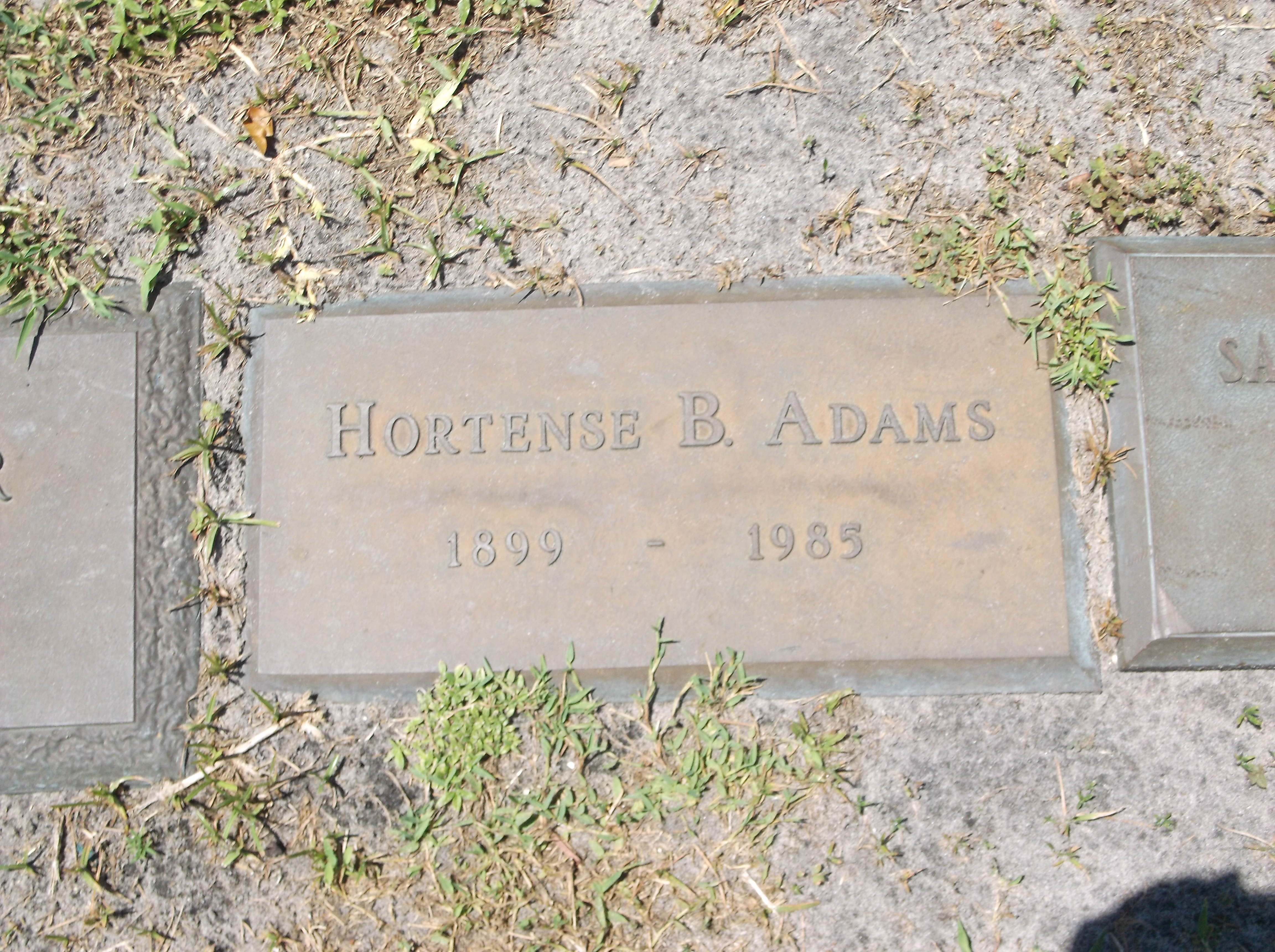 Hortense B Adams
