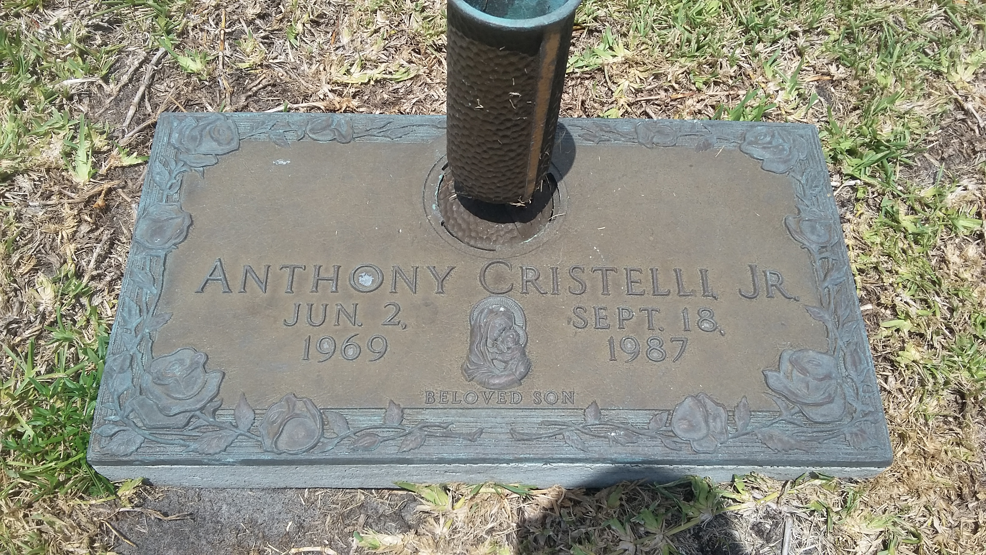 Anthony Cristelli, Jr