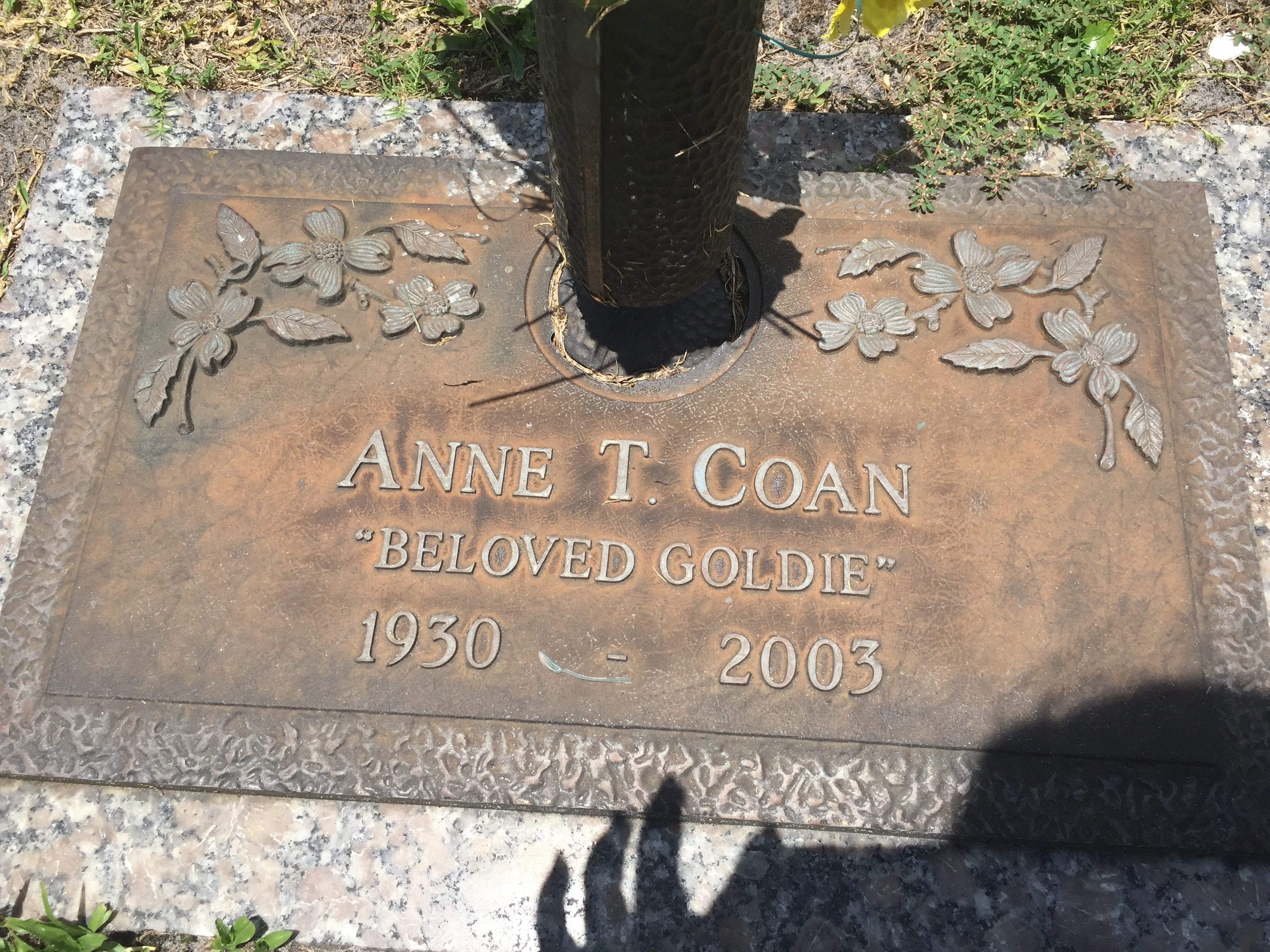 Annie T Coan