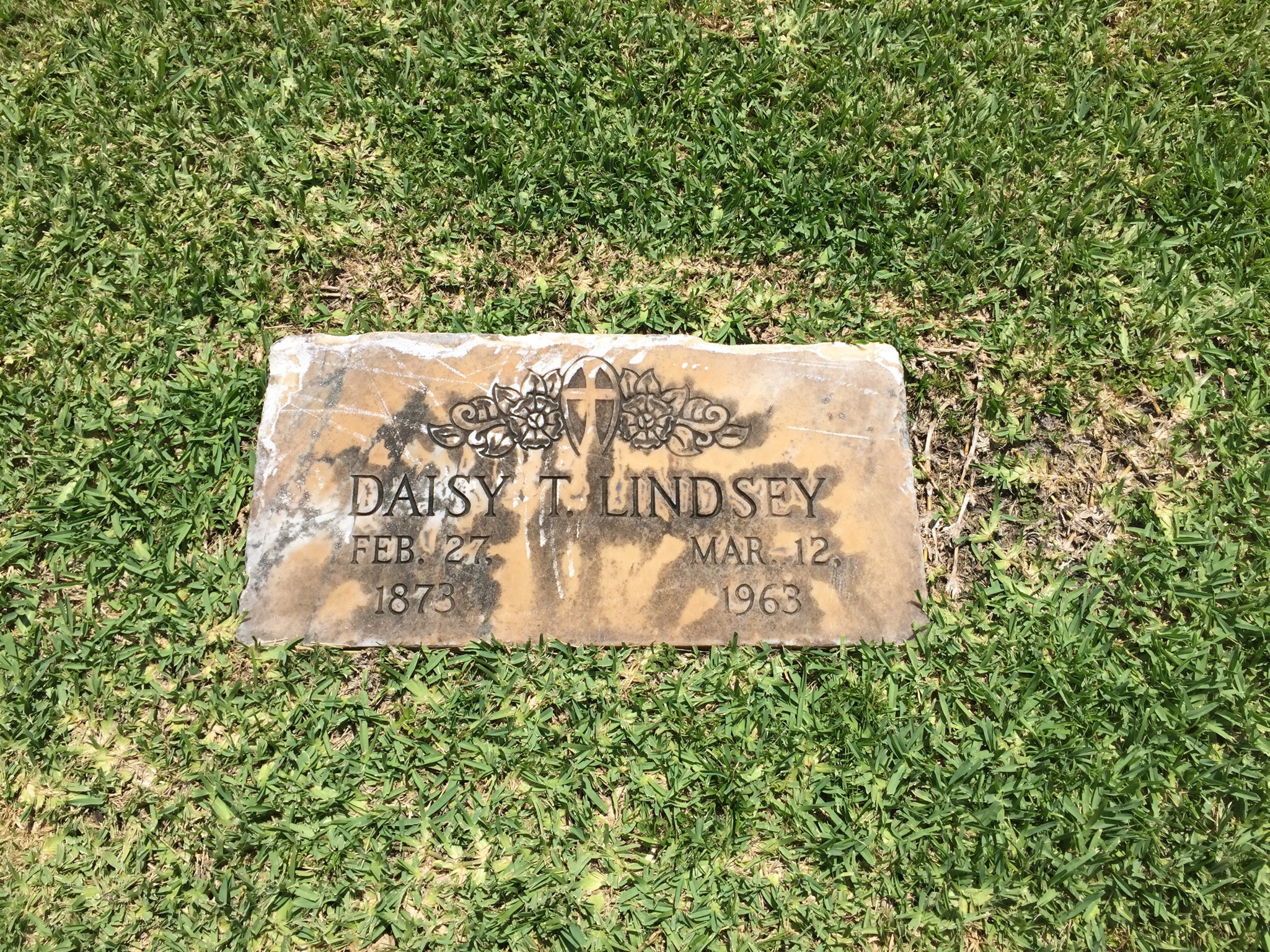 Daisy T Lindsey
