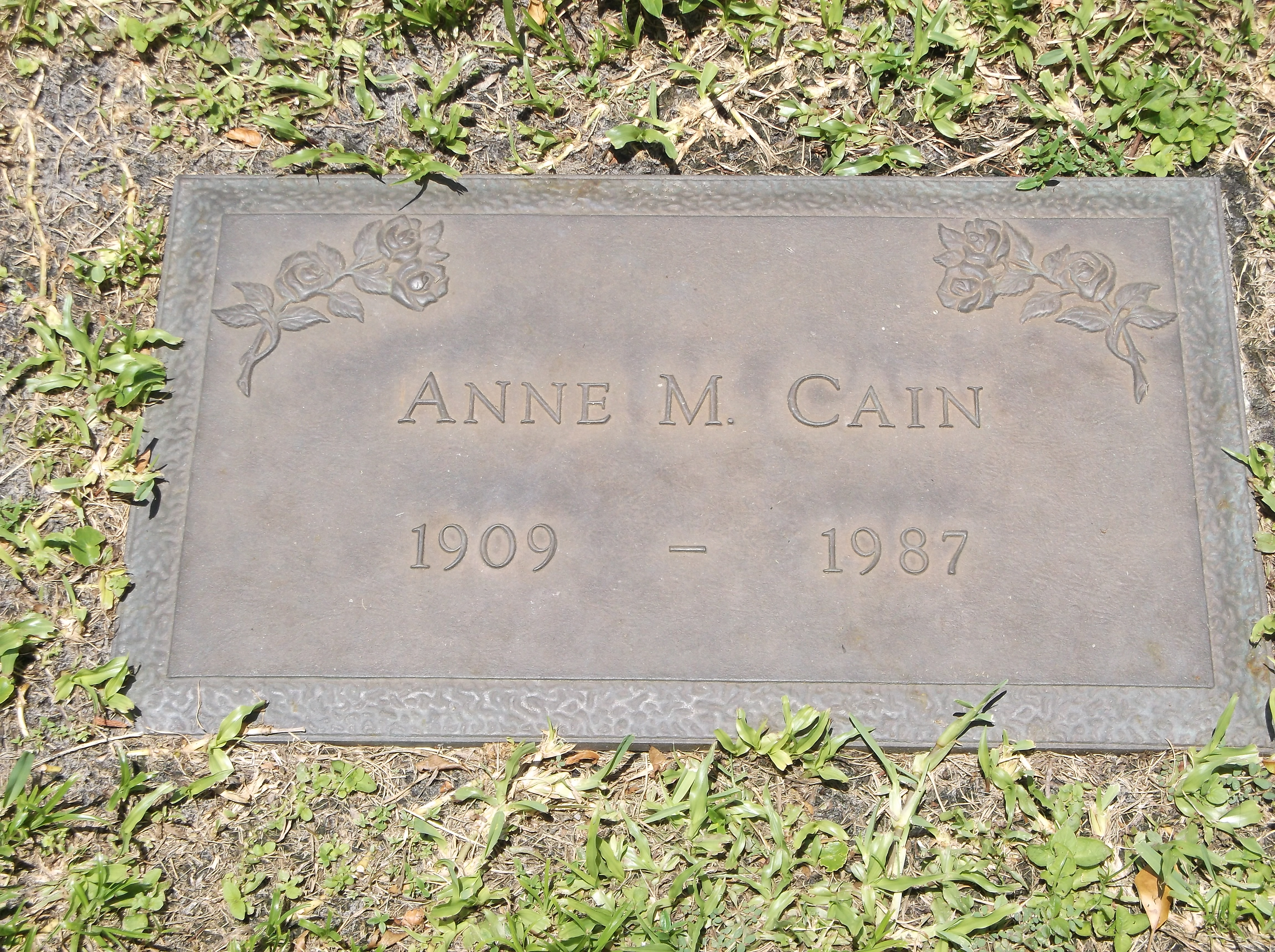 Anne M Cain