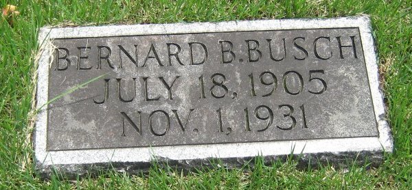 Bernard B Busch