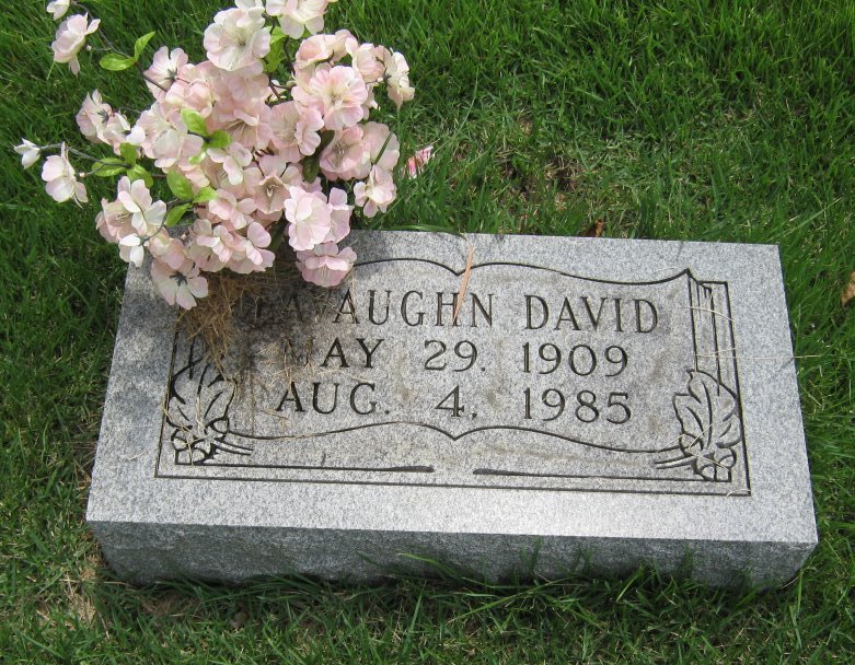Lavaughn David
