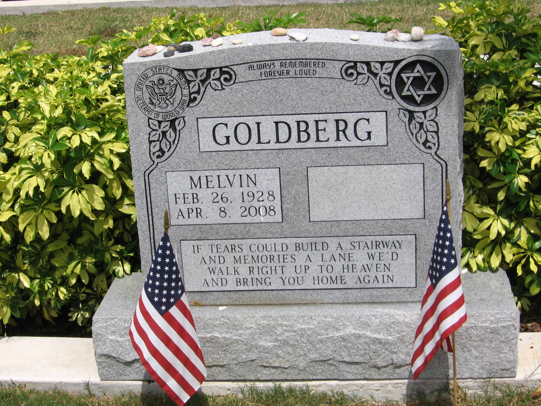Melvin Goldberg