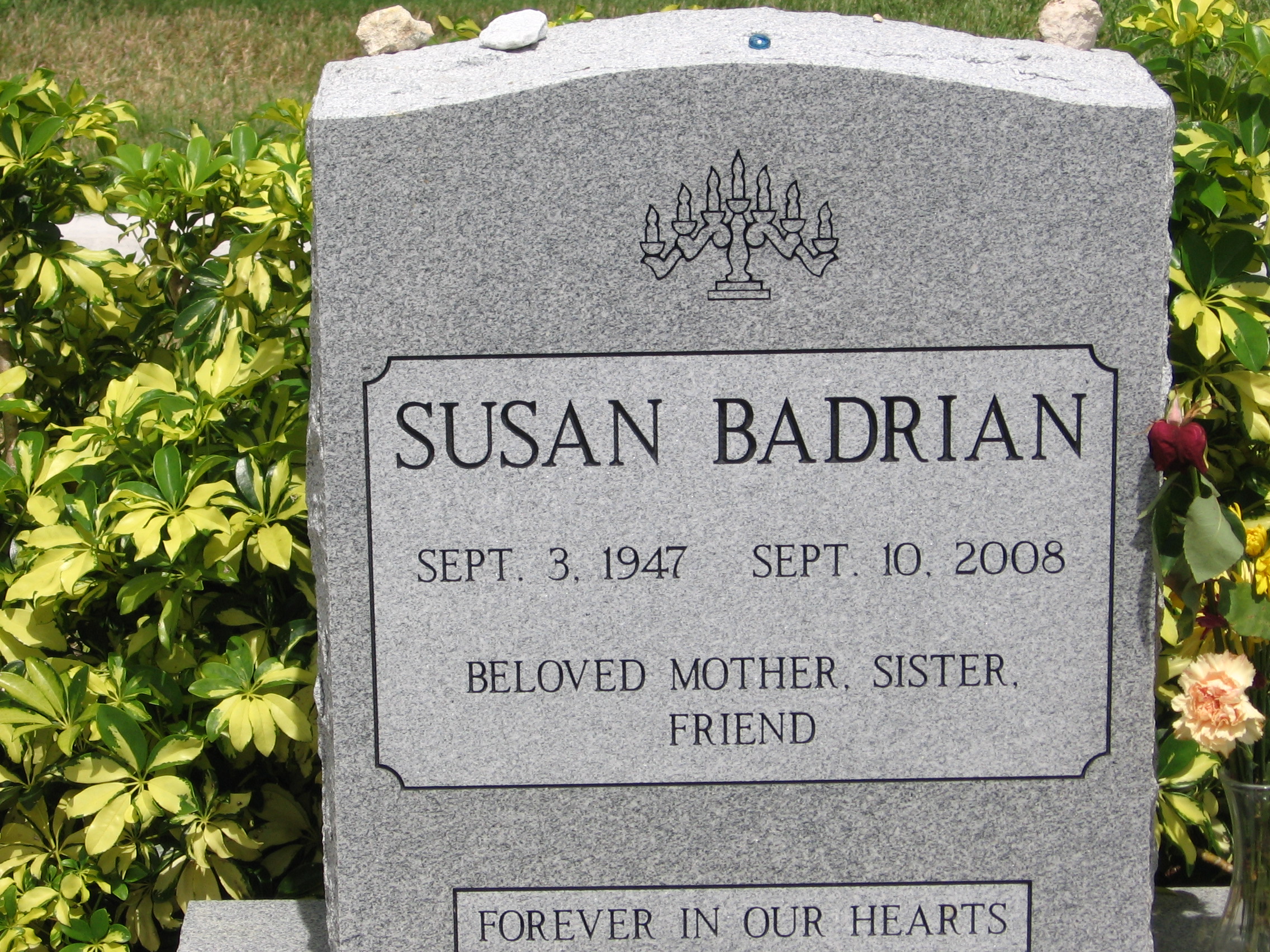 Susan Badrian
