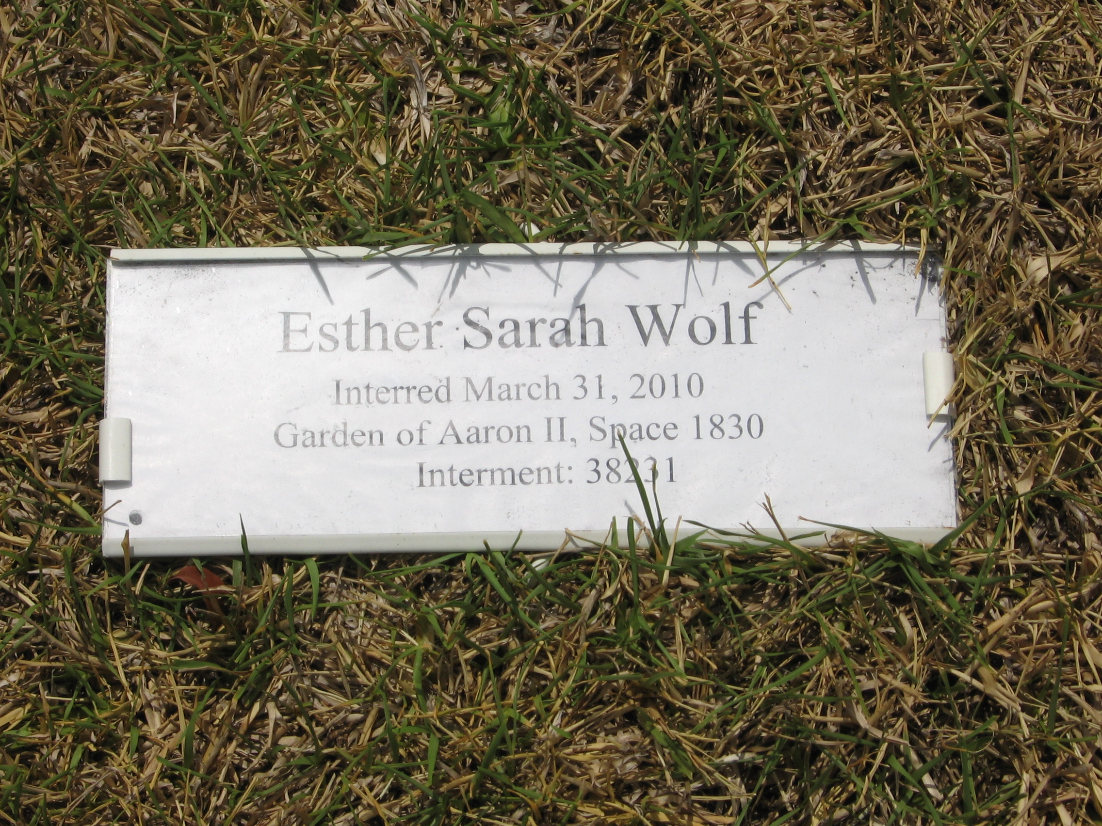 Esther Sarah Wolf