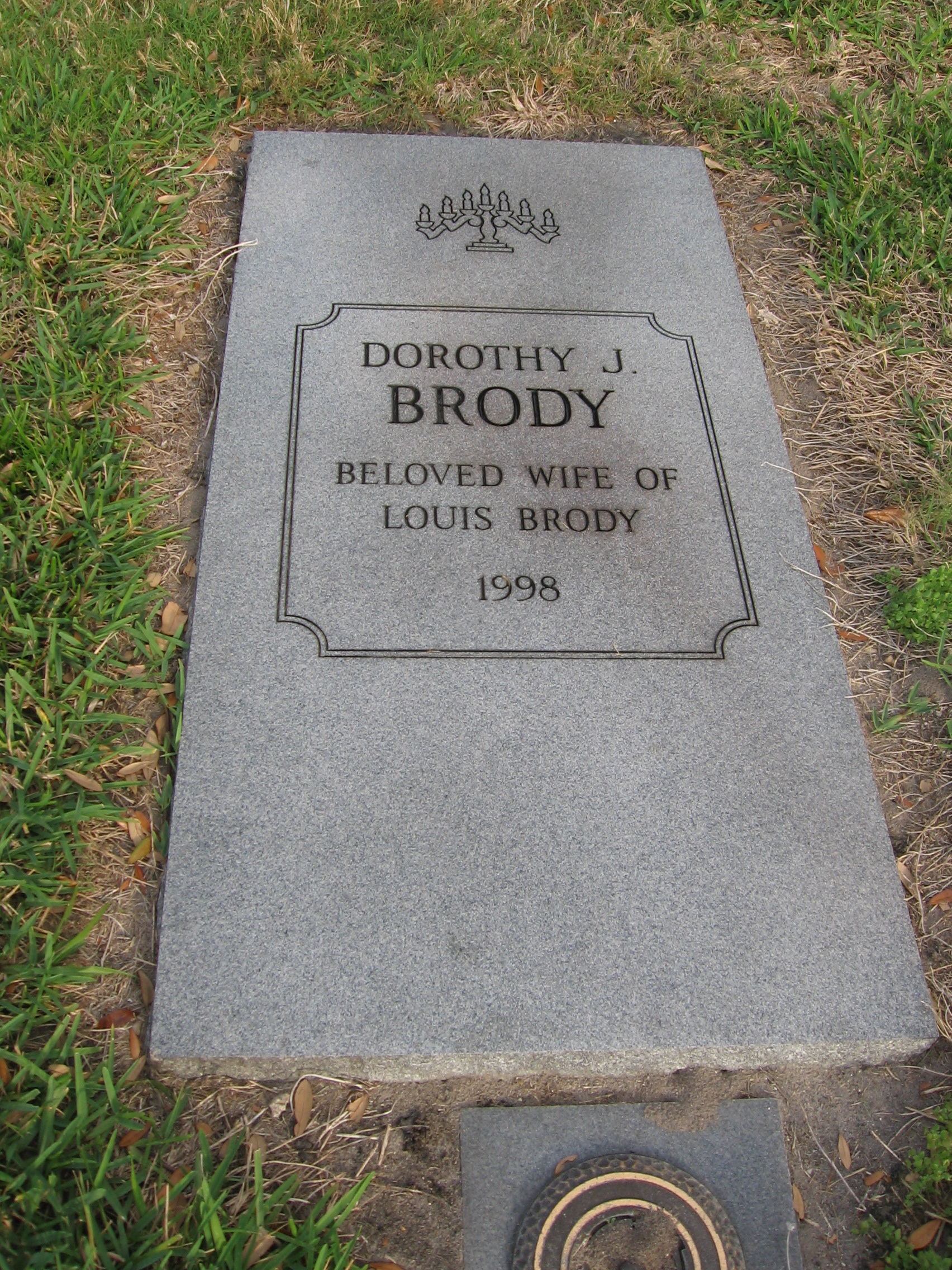 Dorothy J Brody