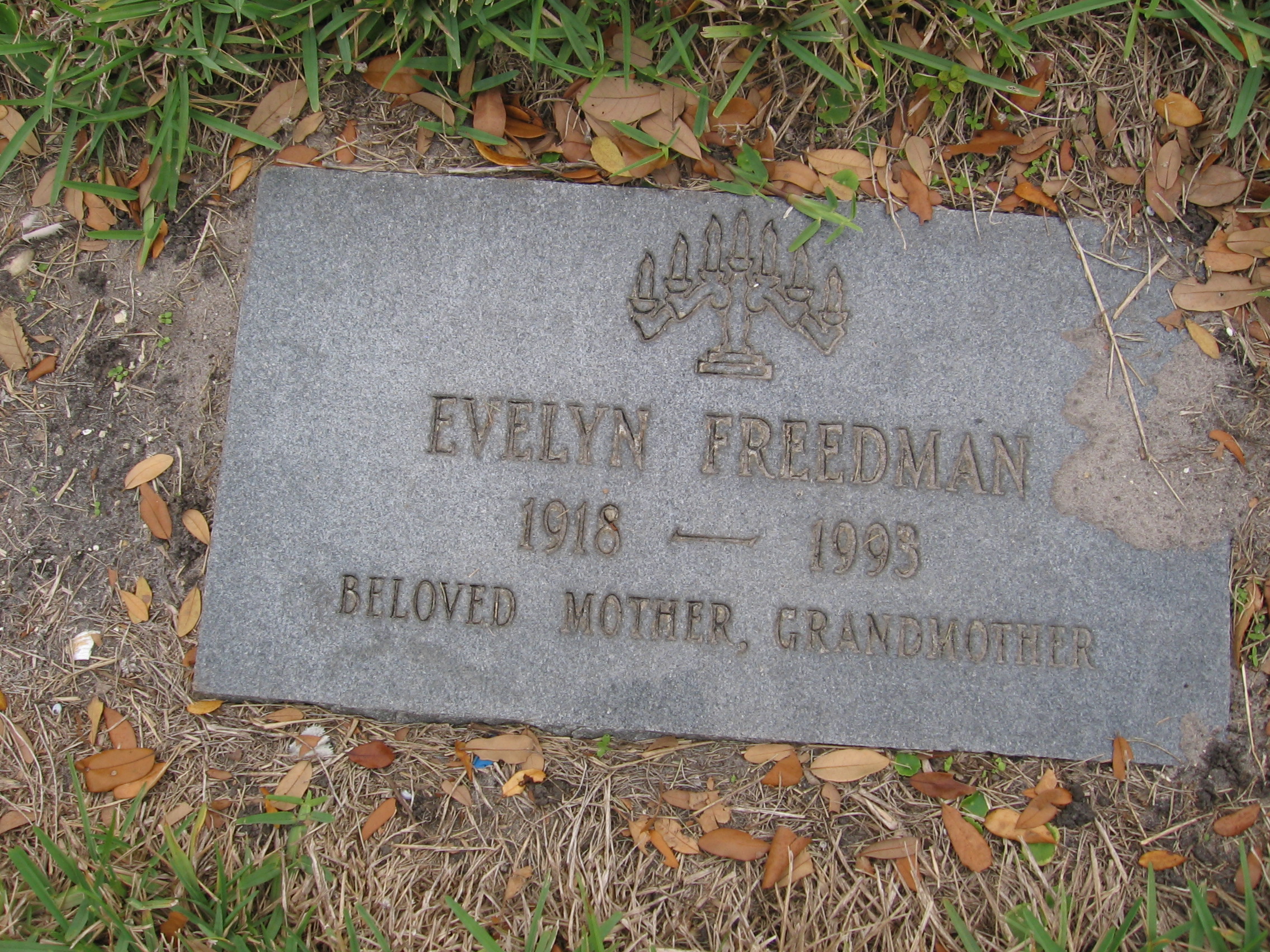 Evelyn Freedman