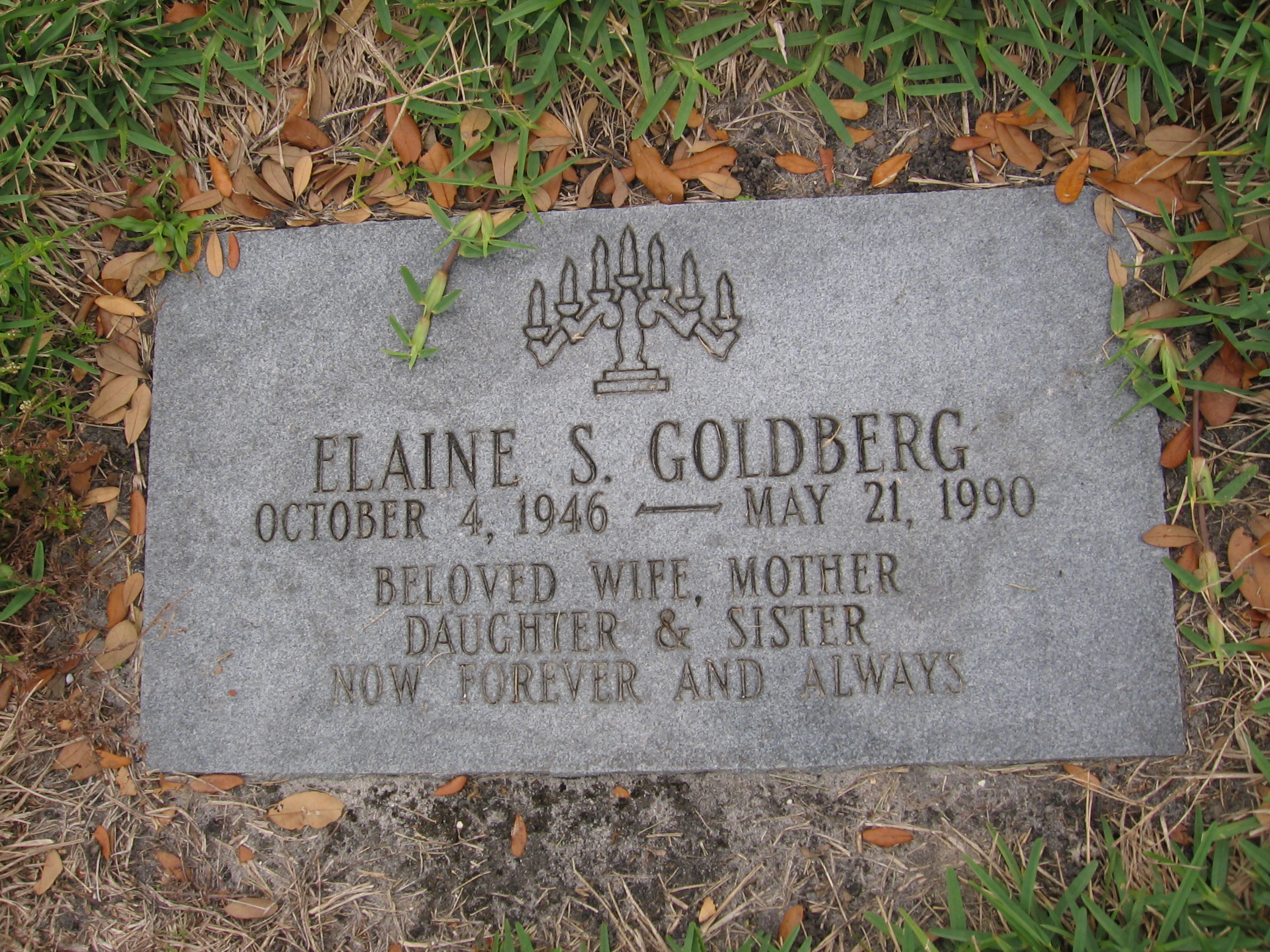 Elaine S Goldberg
