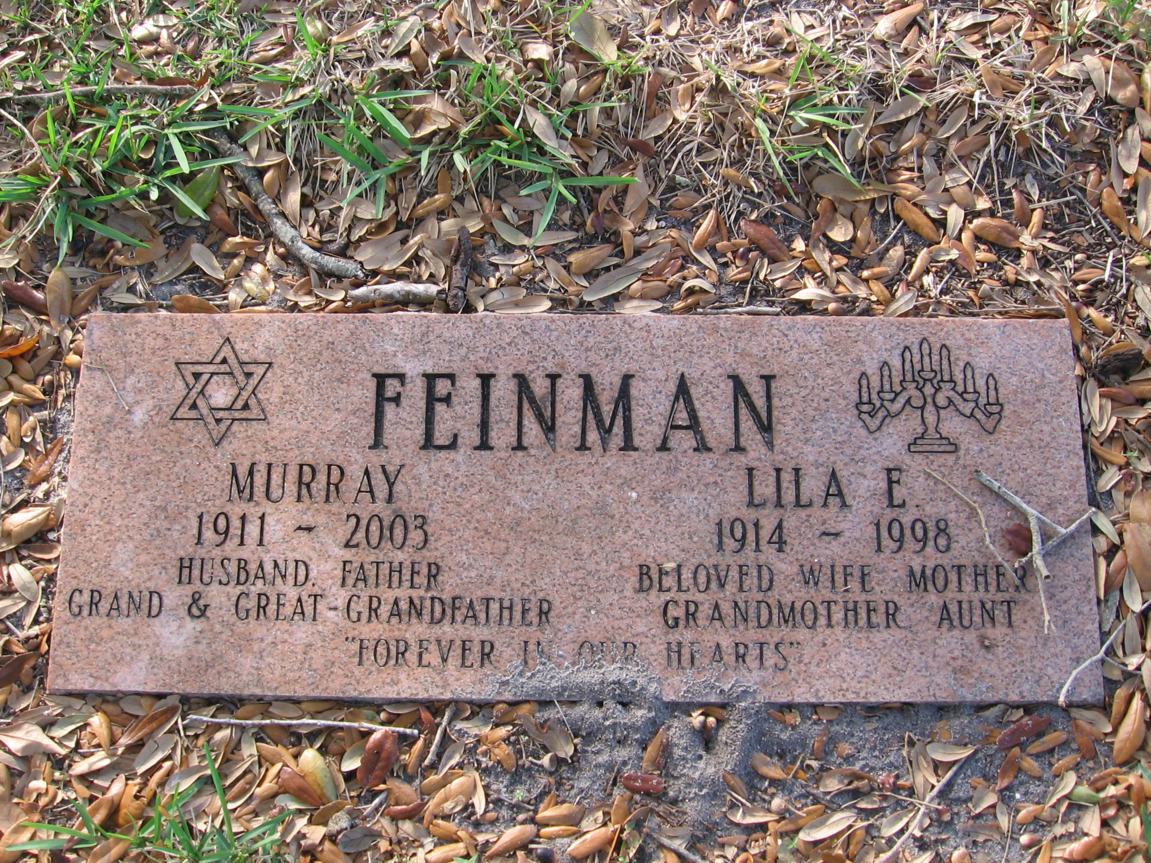 Murray Feinman