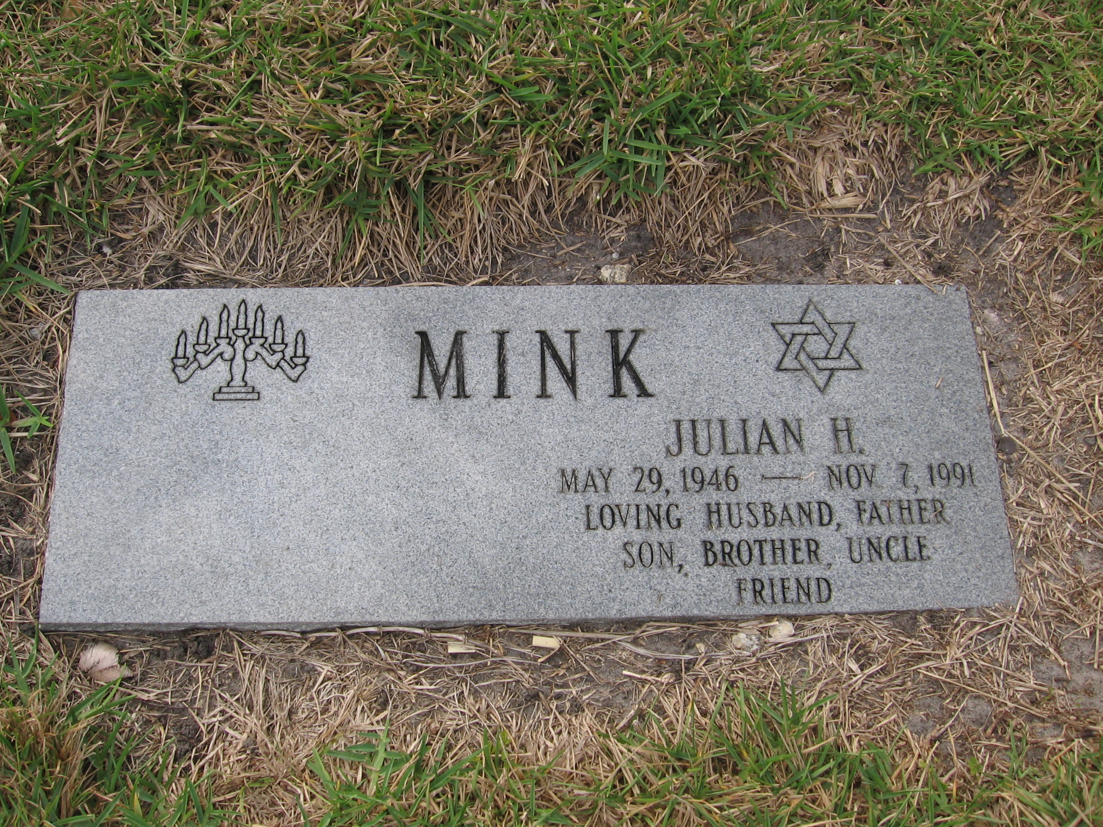 Julian H Mink