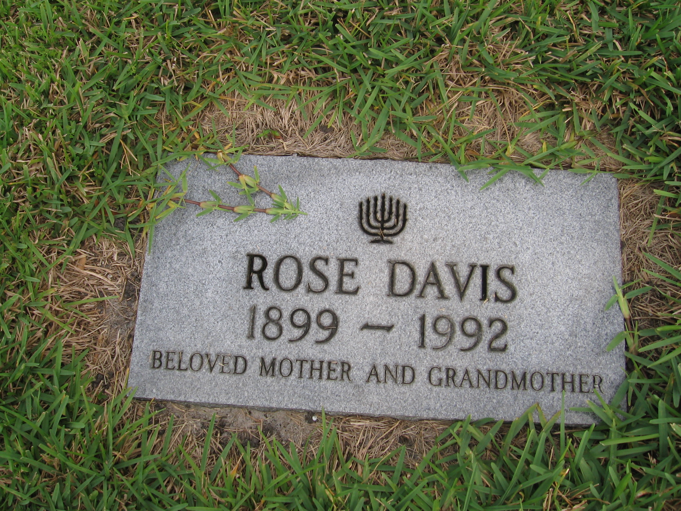Rose Davis