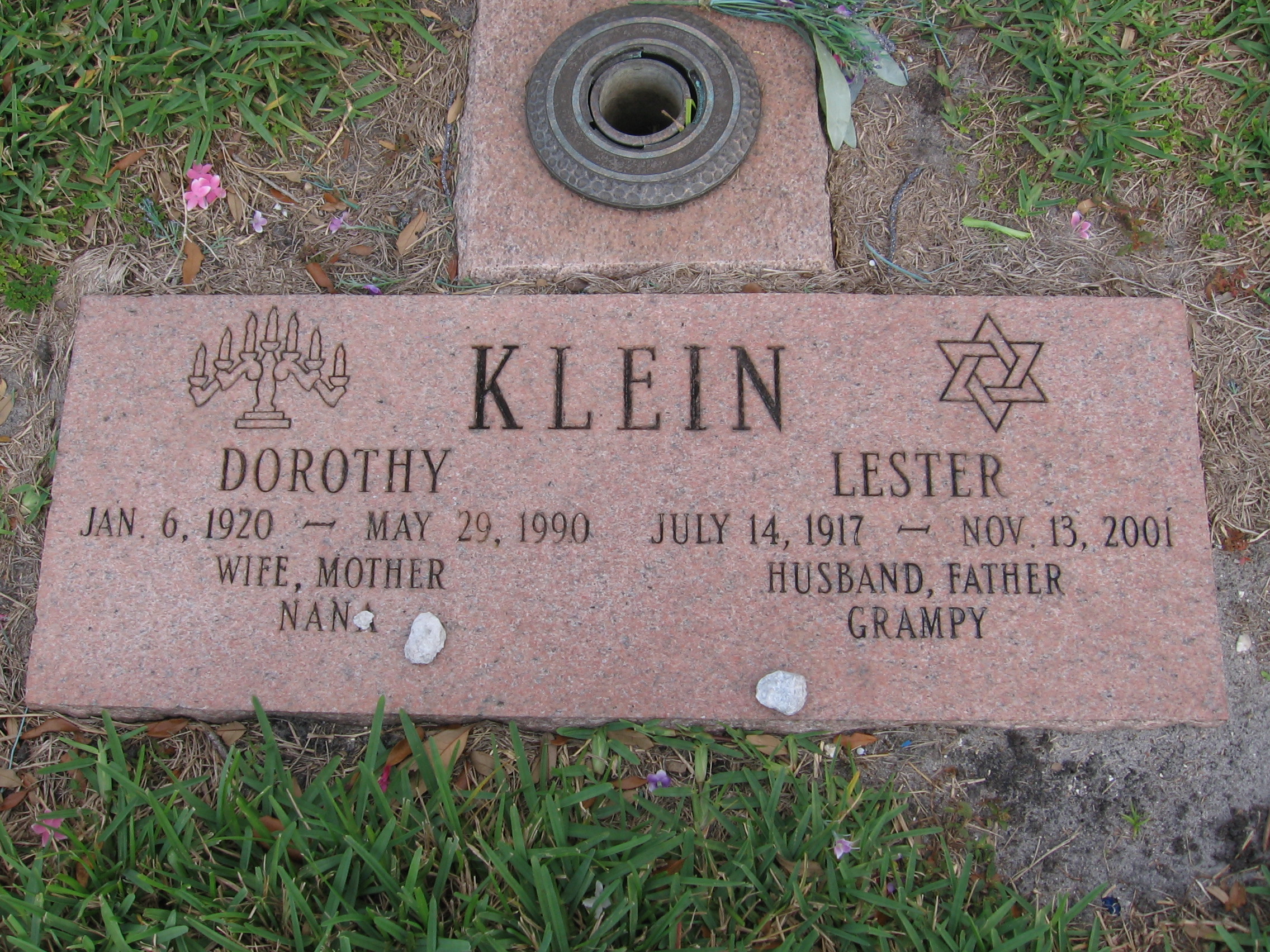 Dorothy Klein