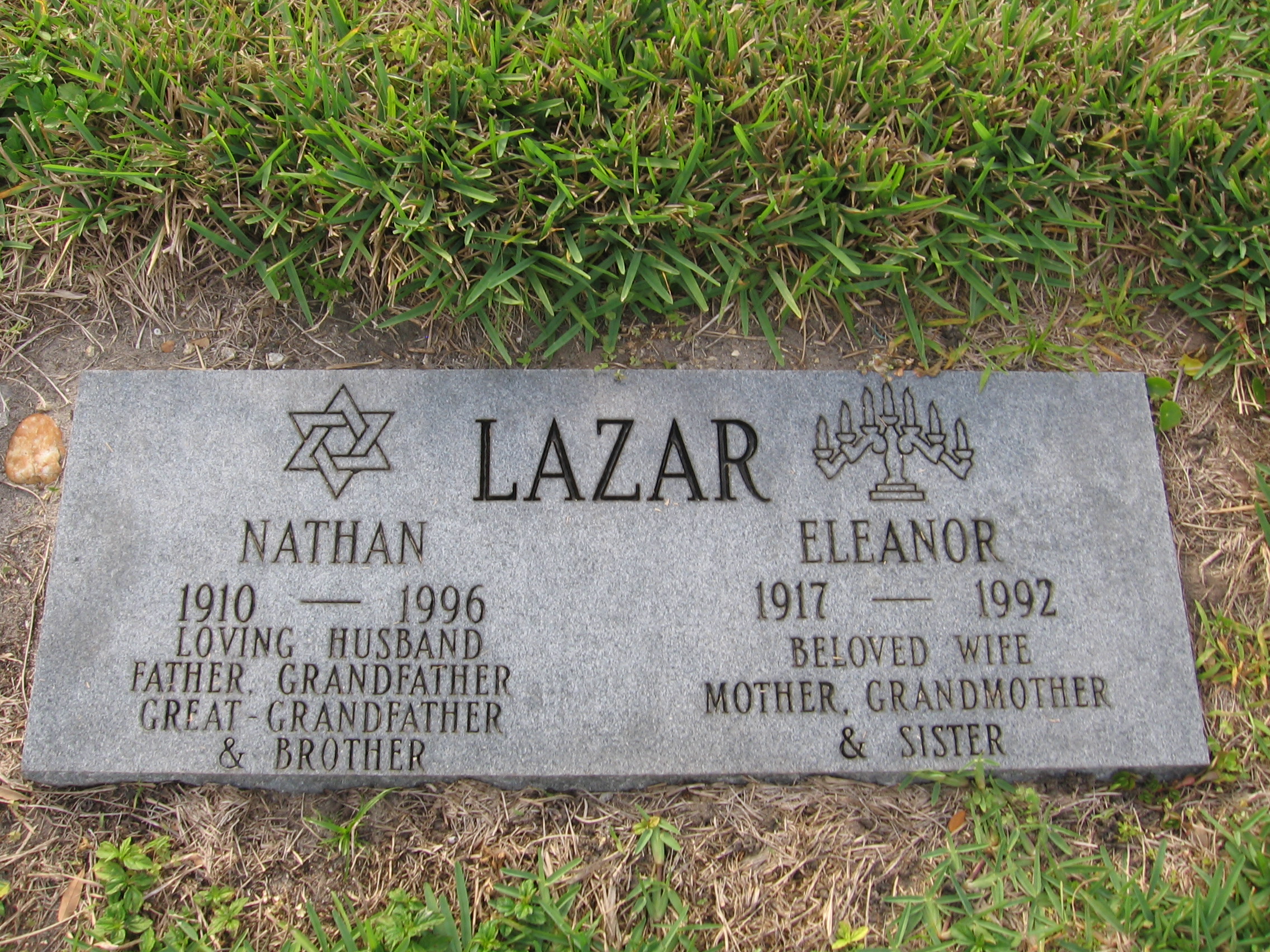 Eleanor Lazar