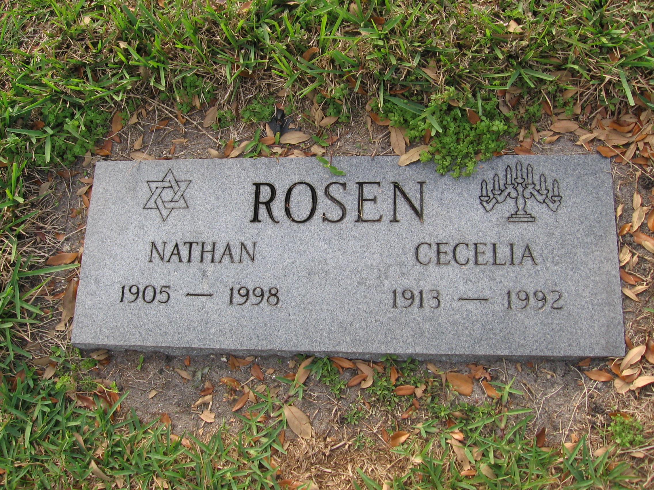 Cecelia Rosen