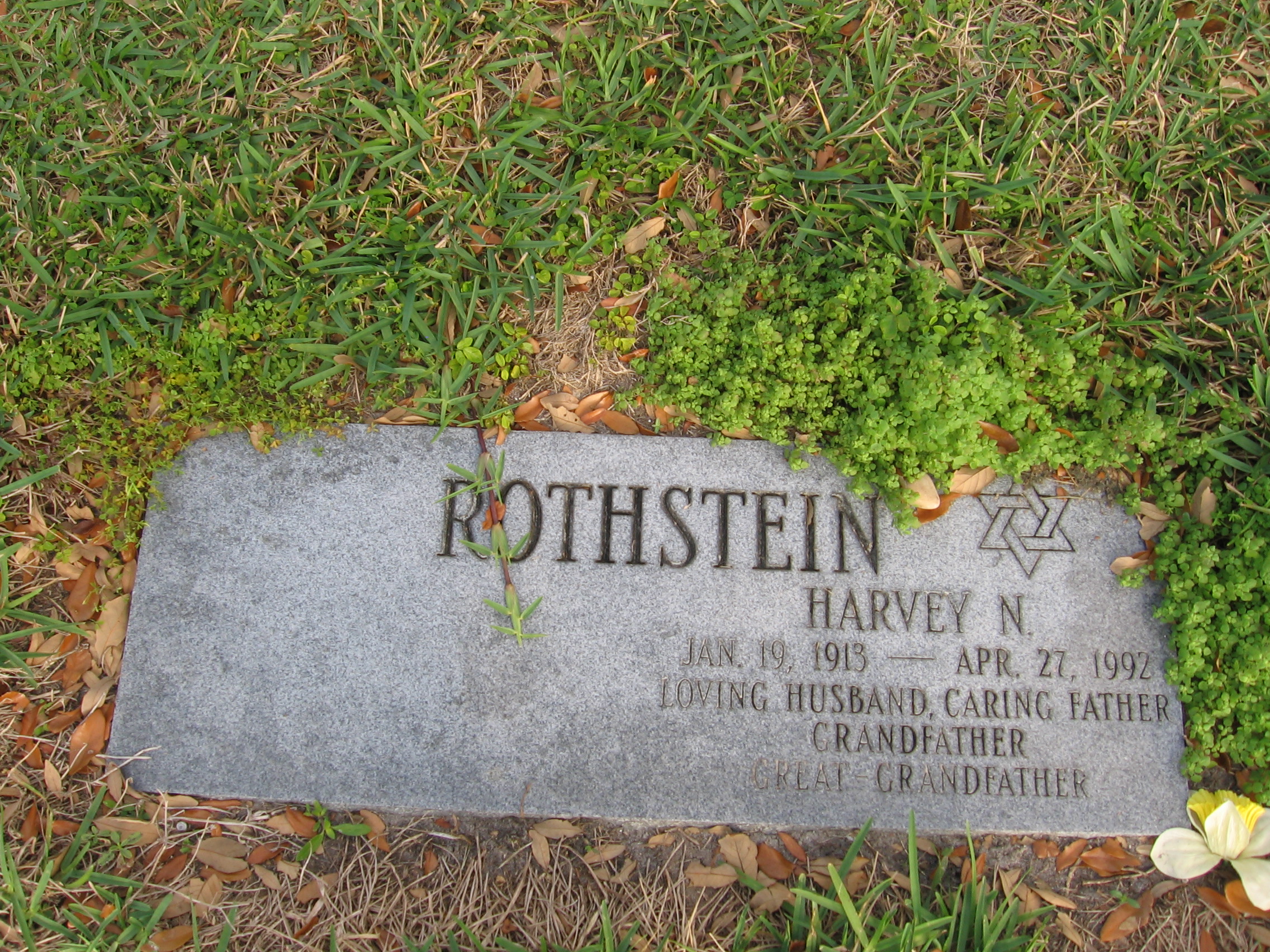 Harvey N Rothstein