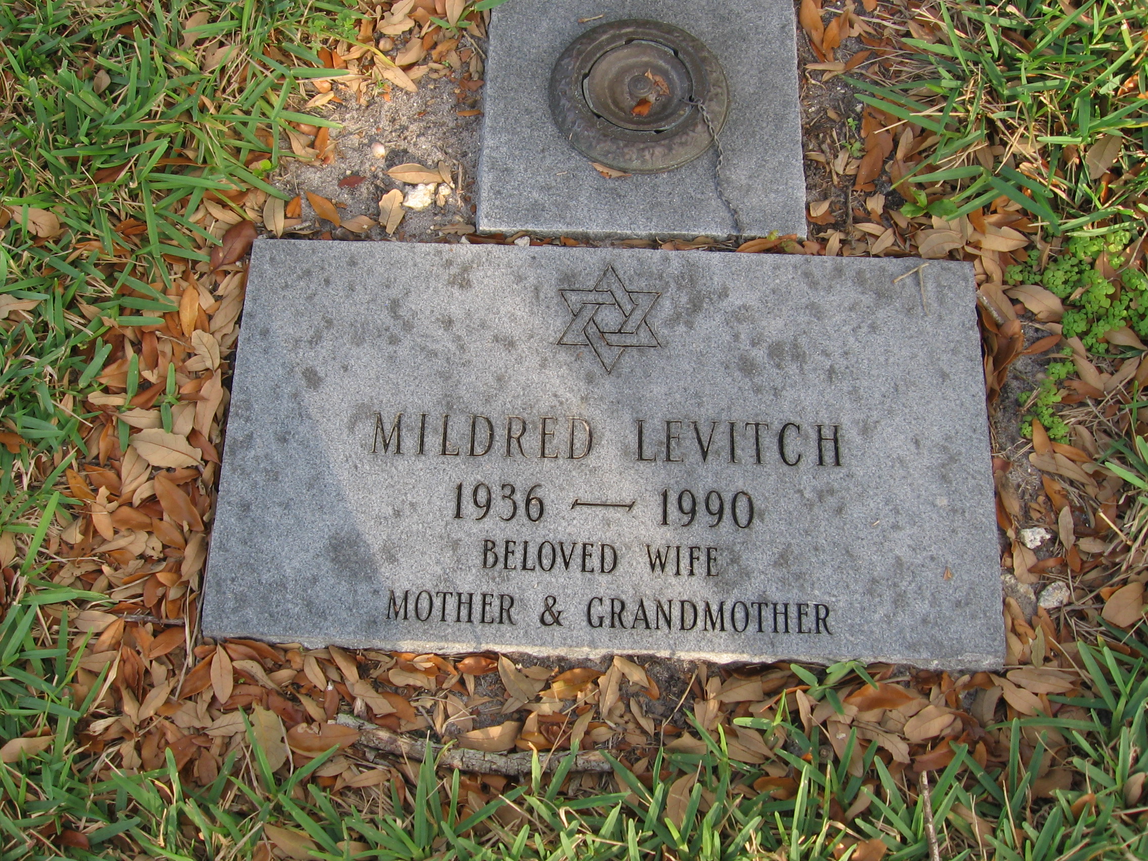 Mildred Levitch
