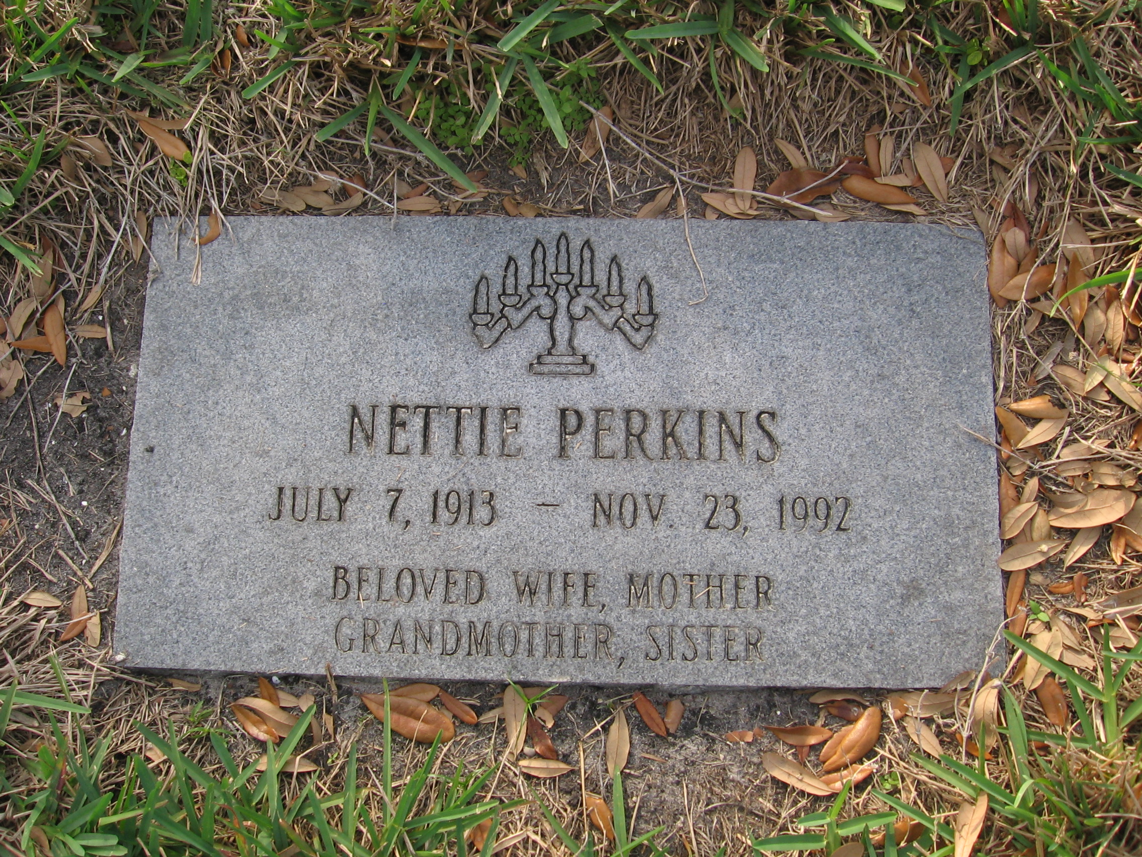 Nettie Perkins
