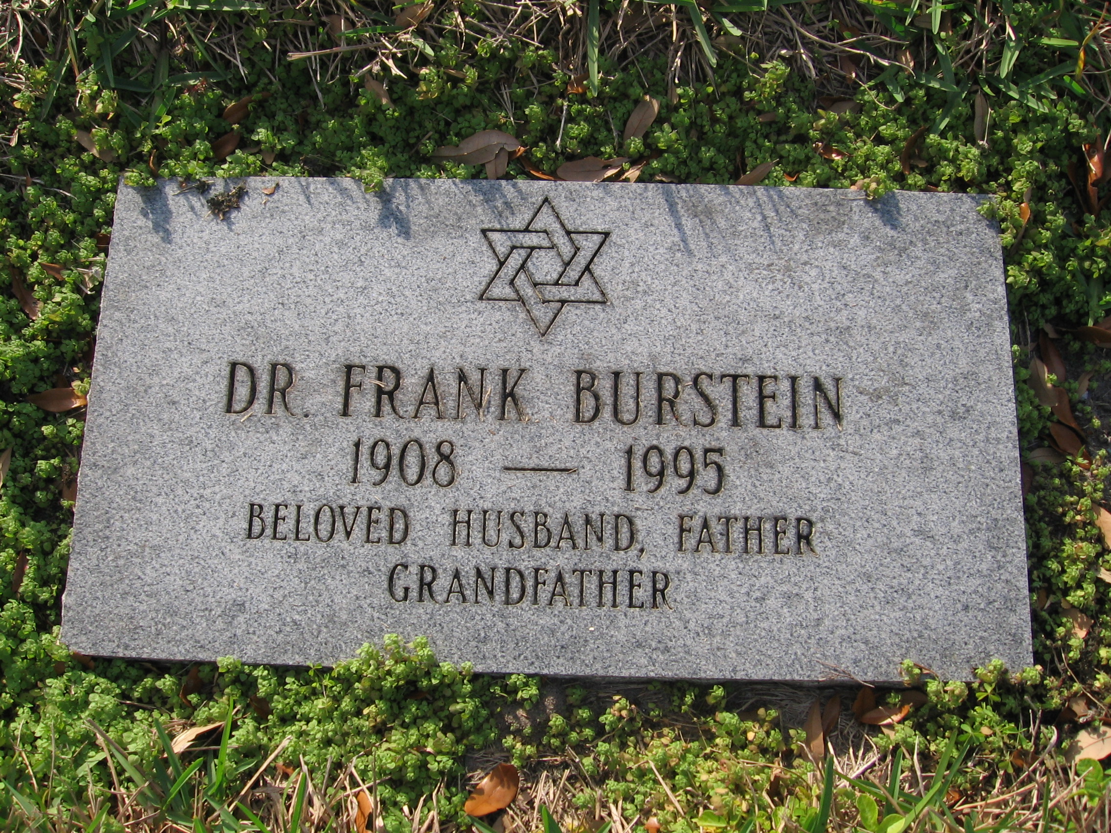Dr Frank Burstein