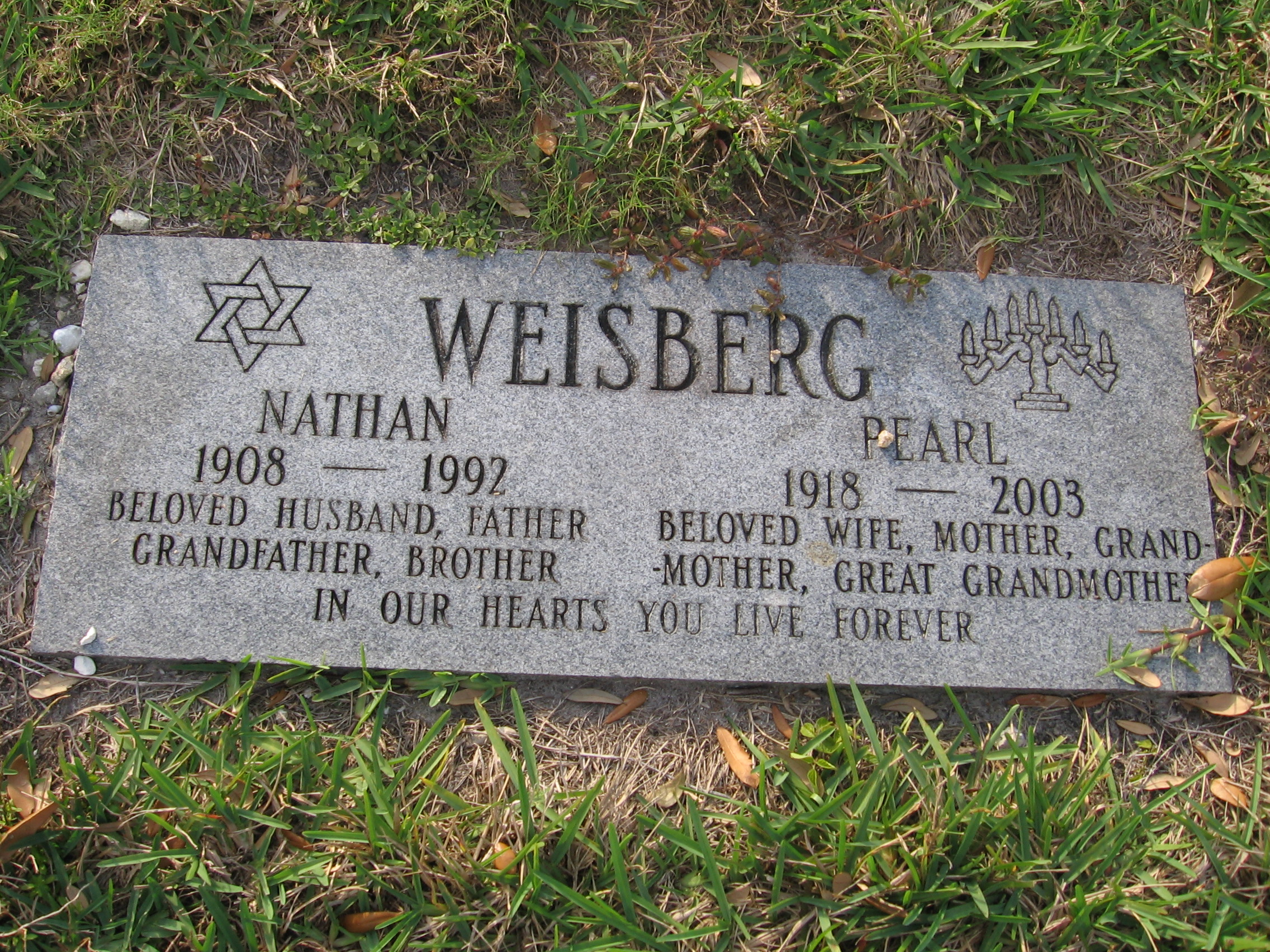 Nathan Weisberg