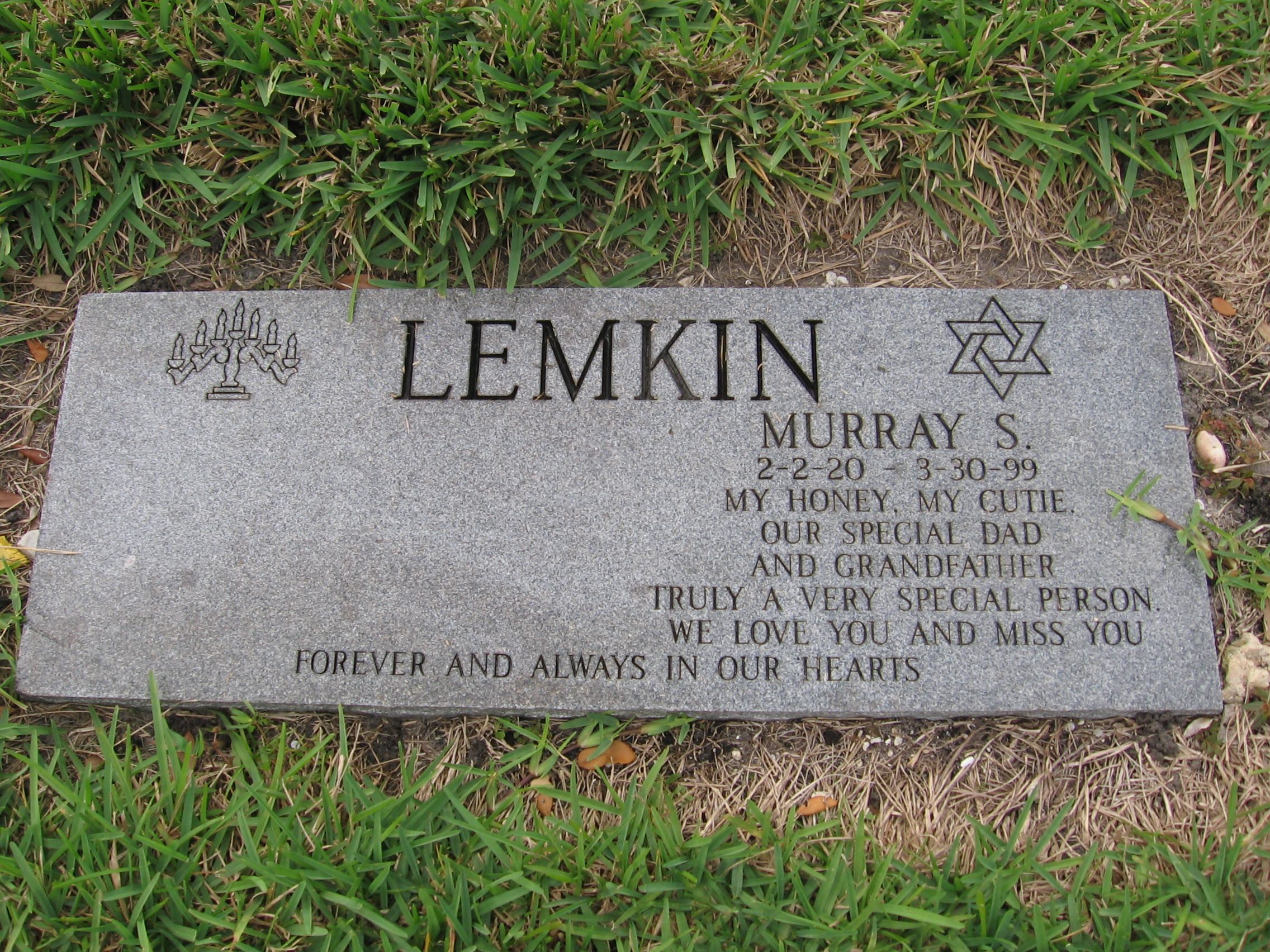 Murray S Lemkin