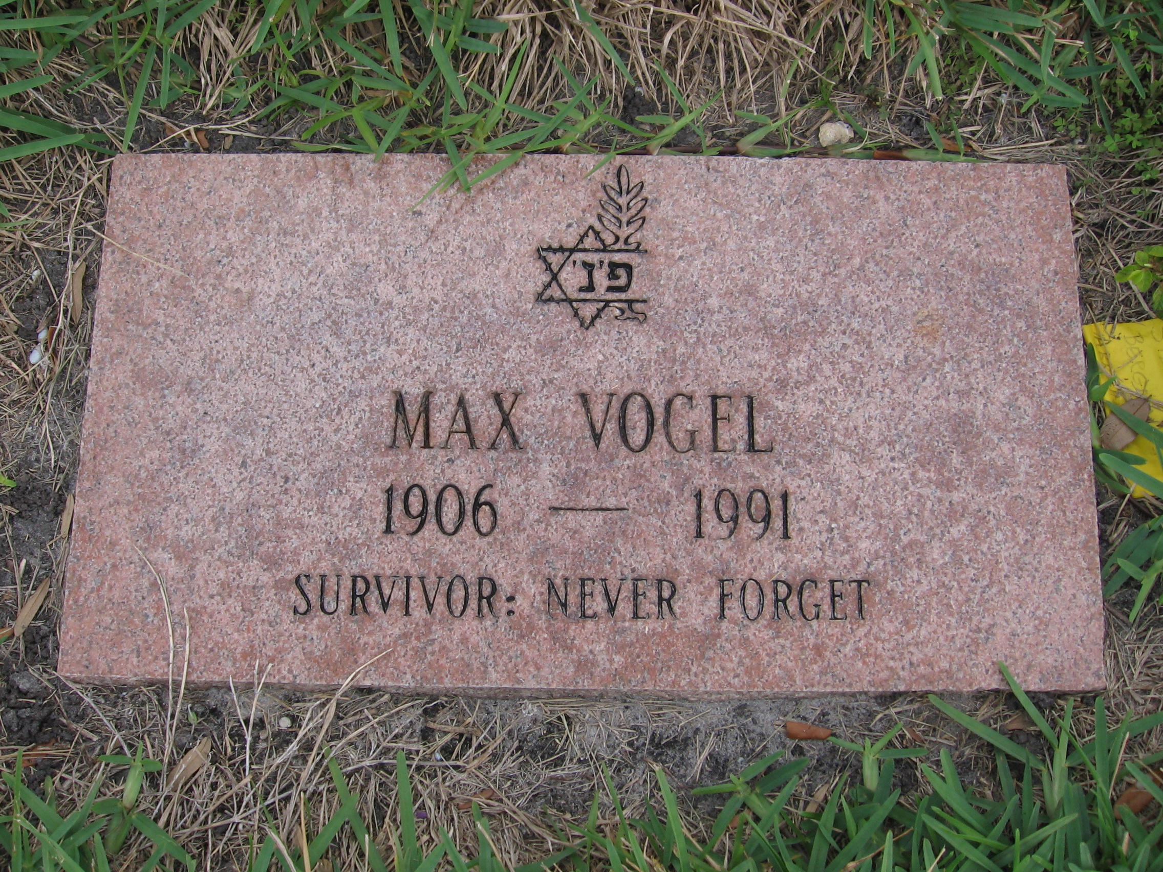 Max Vogel