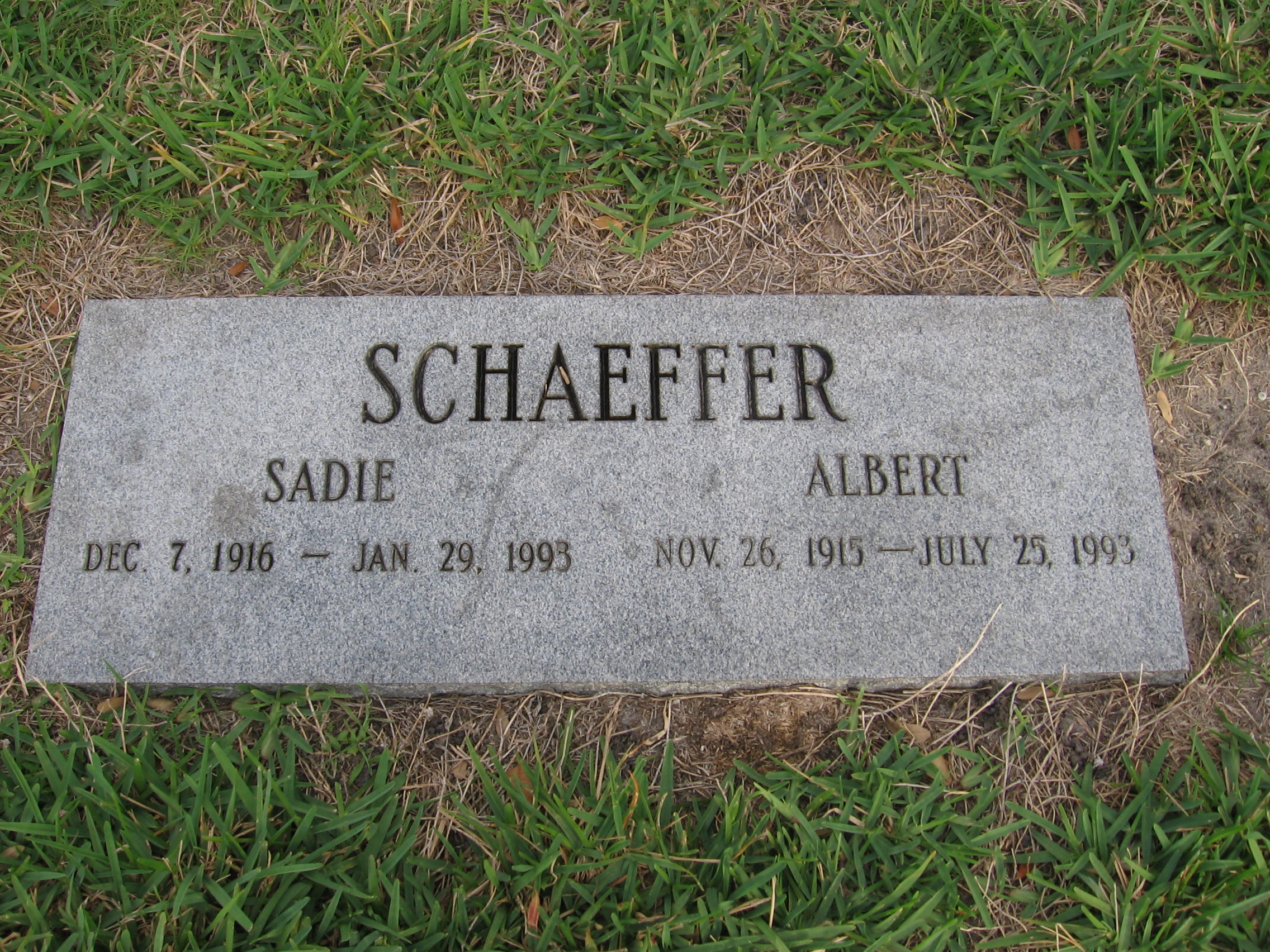 Sadie Schaeffer