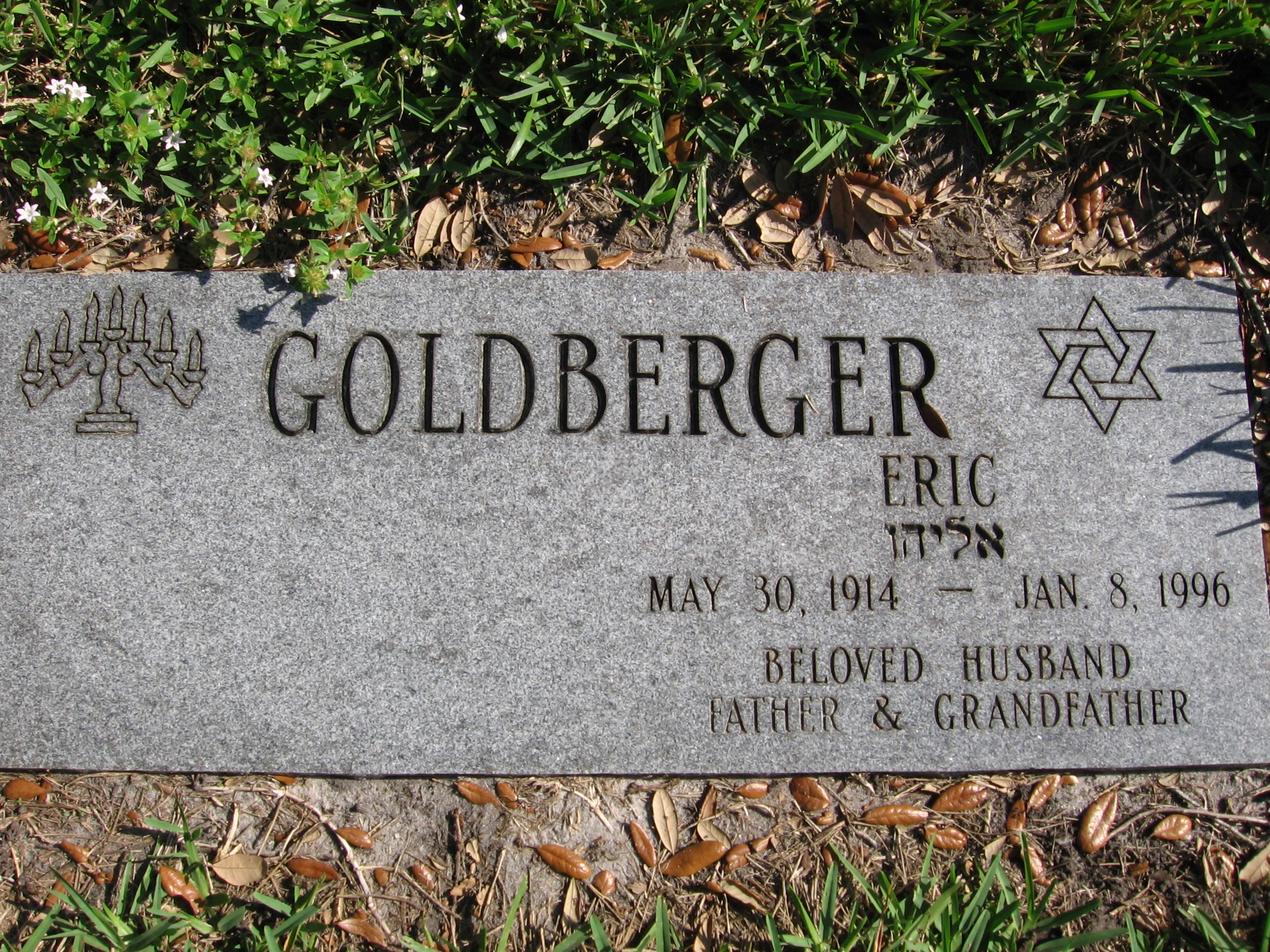 Eric Goldberger