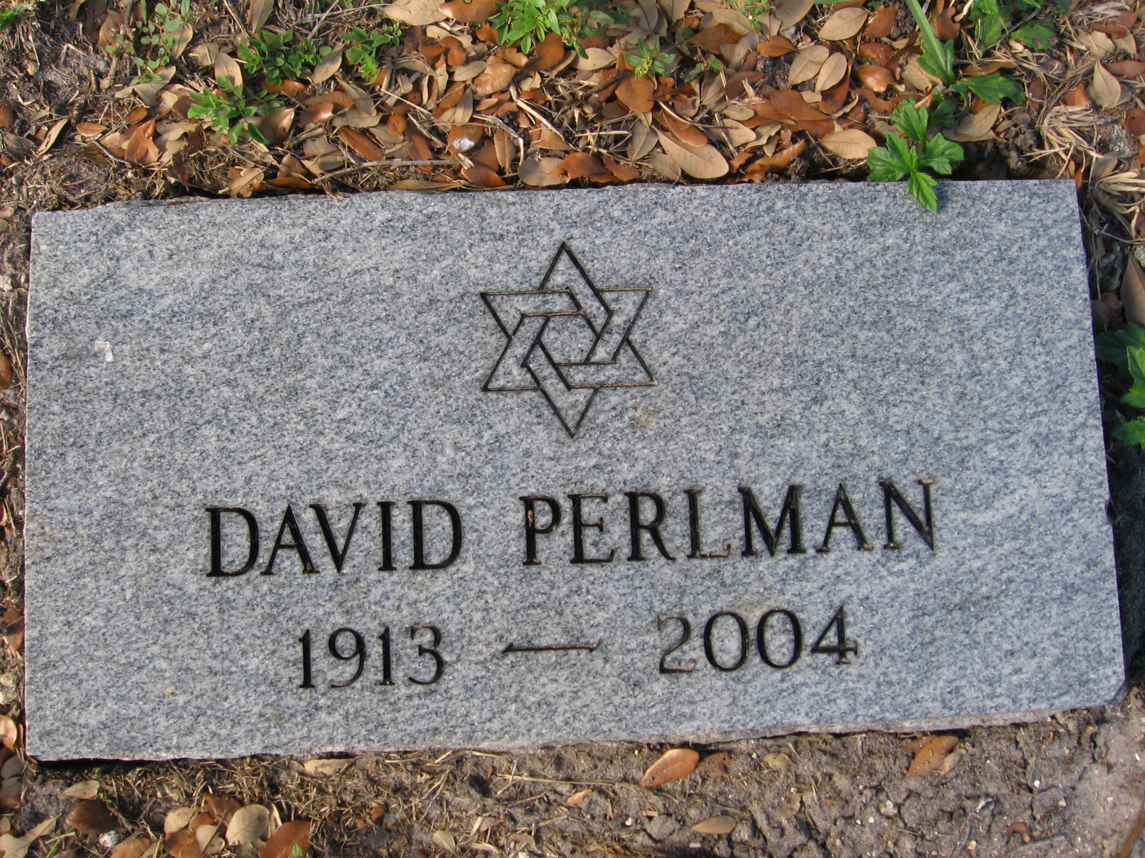 David Perlman