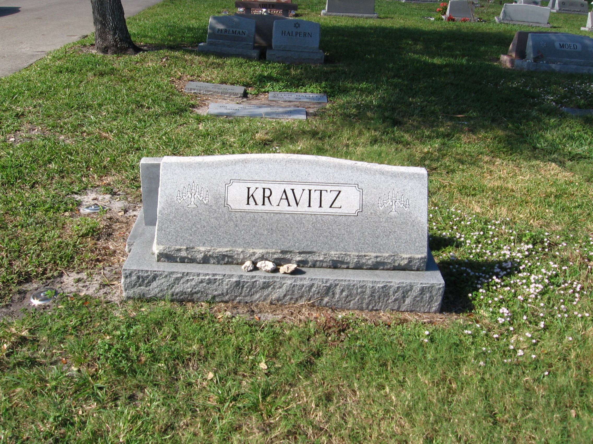 Dorothy S Kravitz