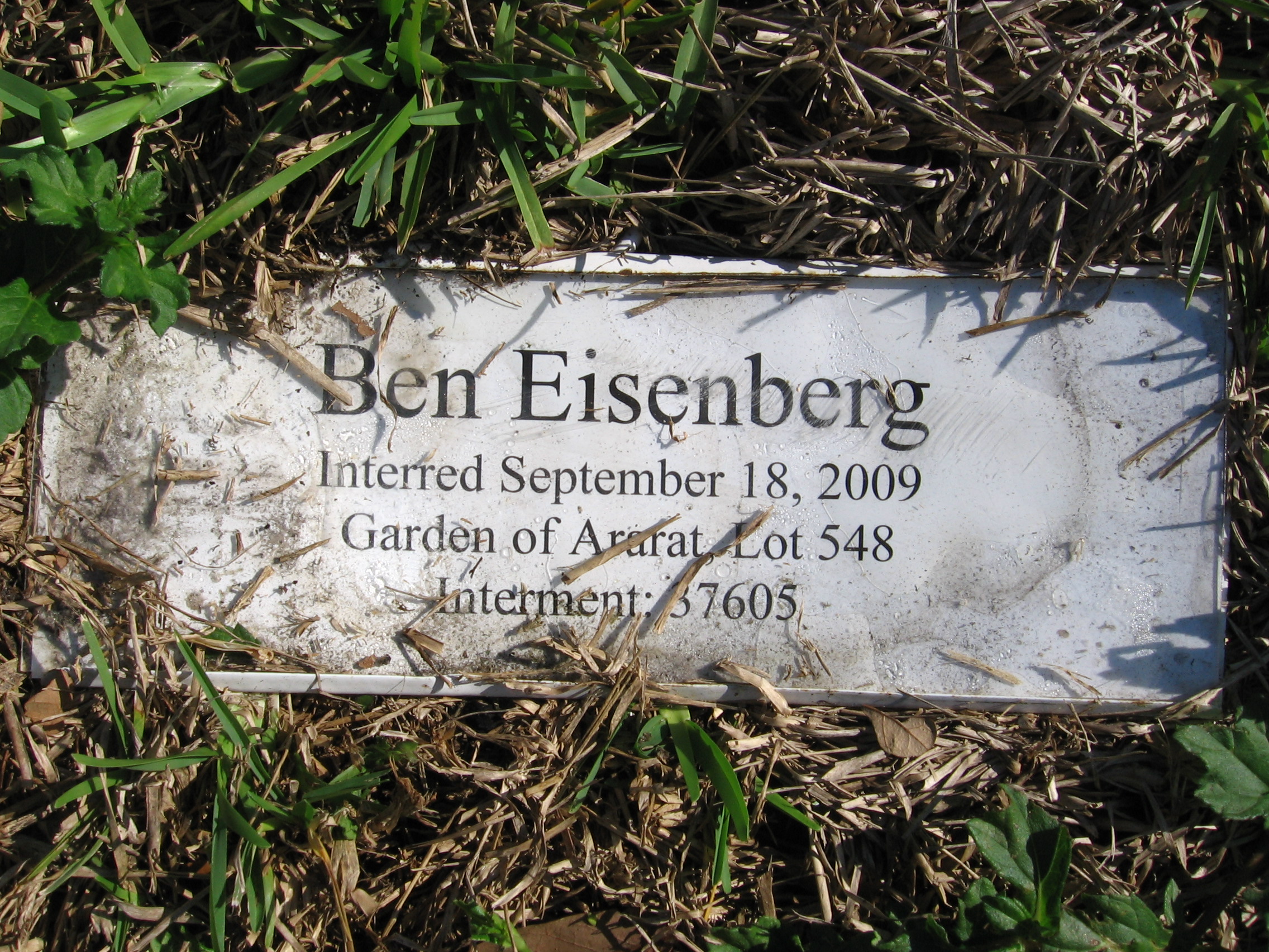 Ben Eisenberg